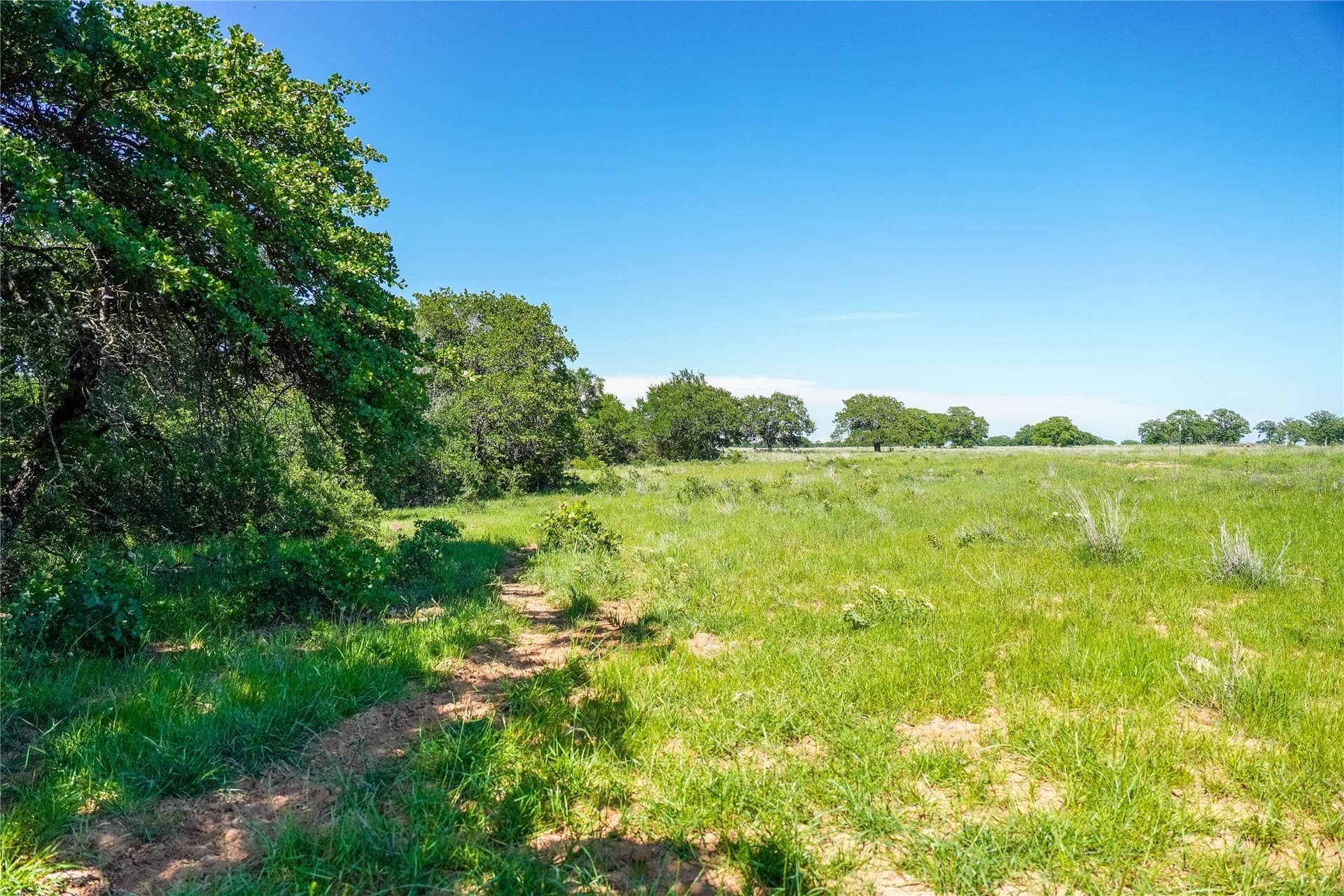 136 acres in Jack County - photo 34