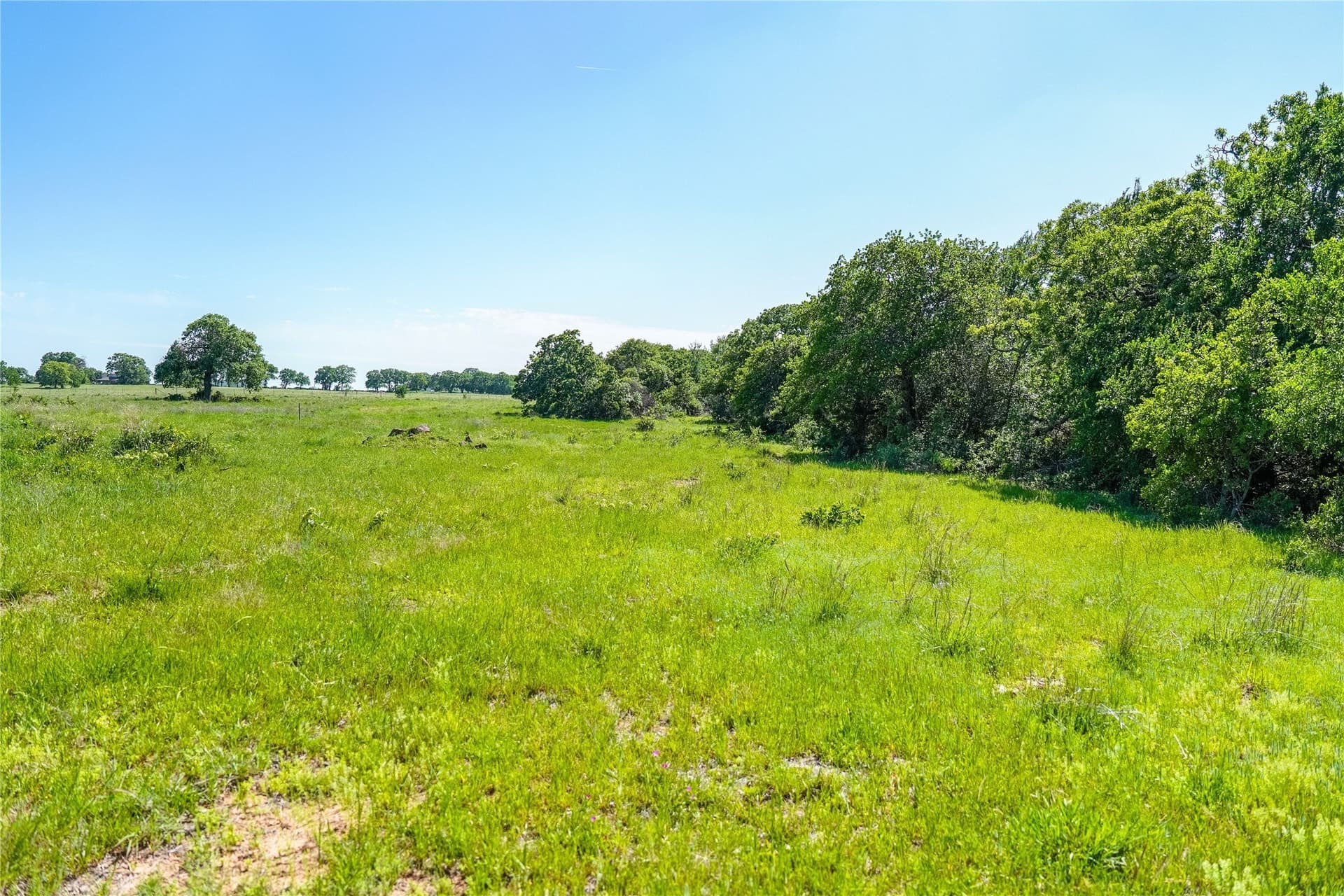 136 acres in Jack County - photo 36