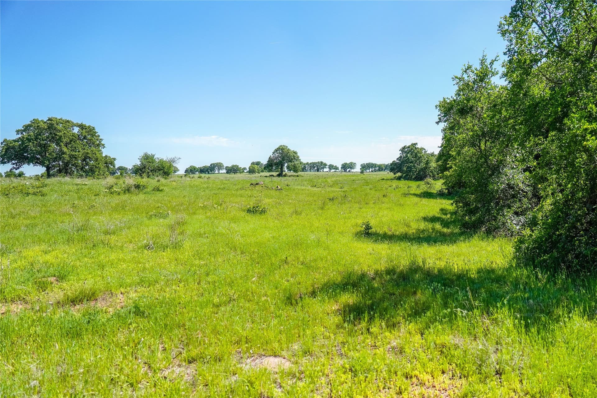 136 acres in Jack County - photo 38