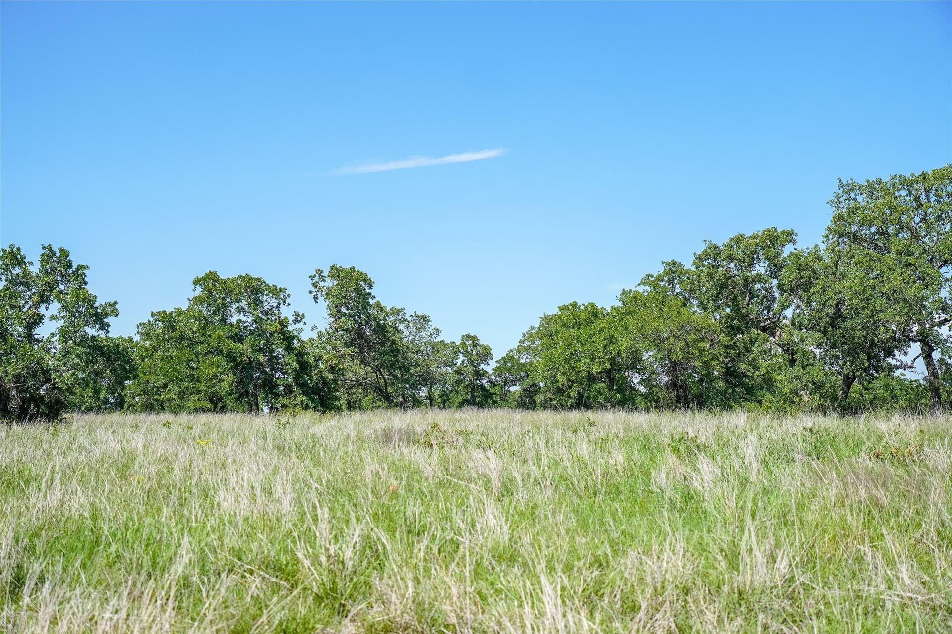 136 acres in Jack County - photo 28