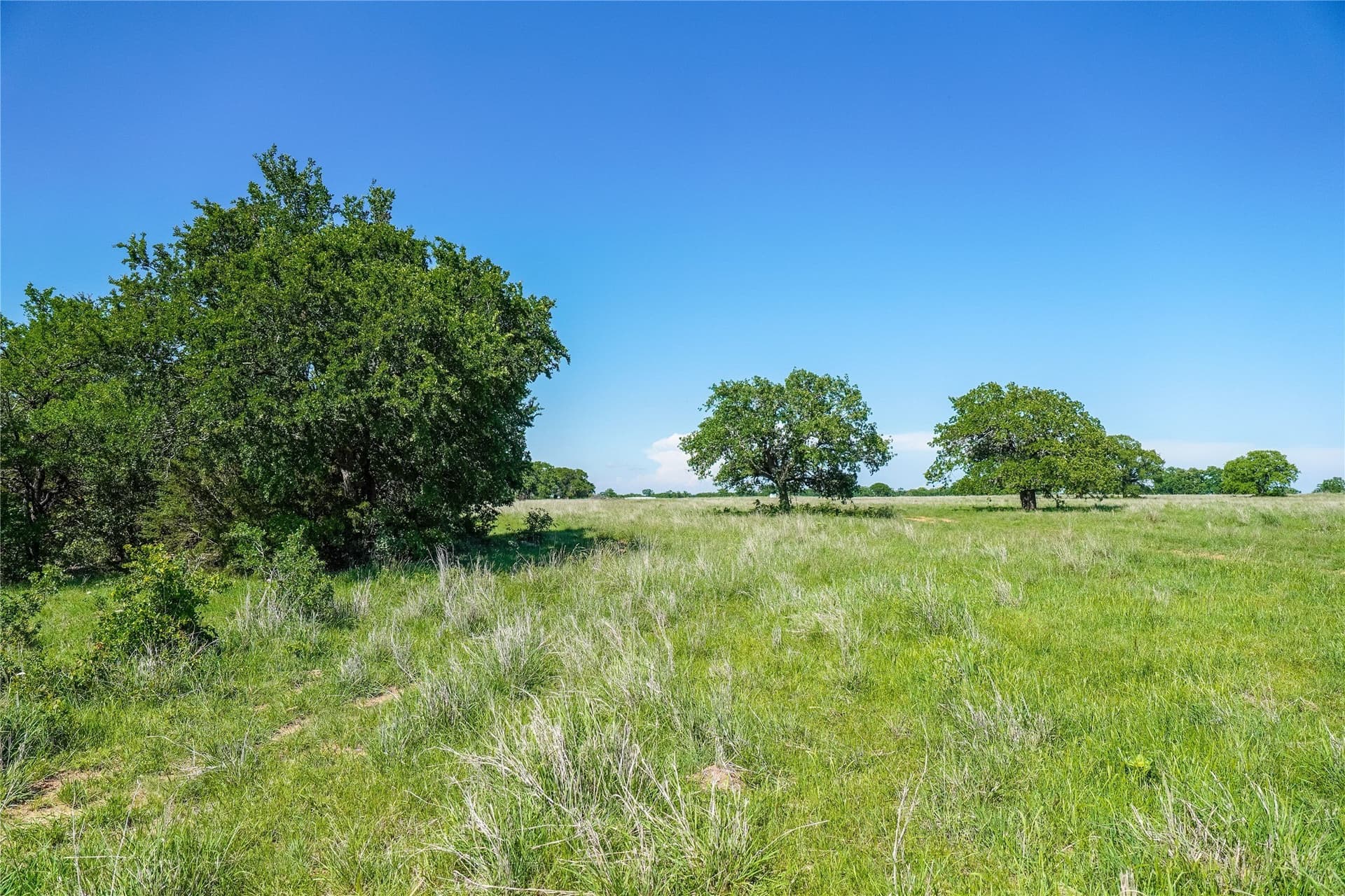 136 acres in Jack County - photo 39