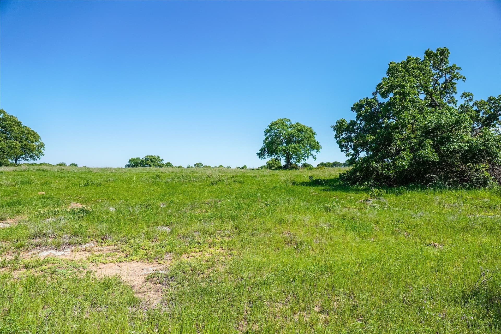 136 acres in Jack County - photo 33