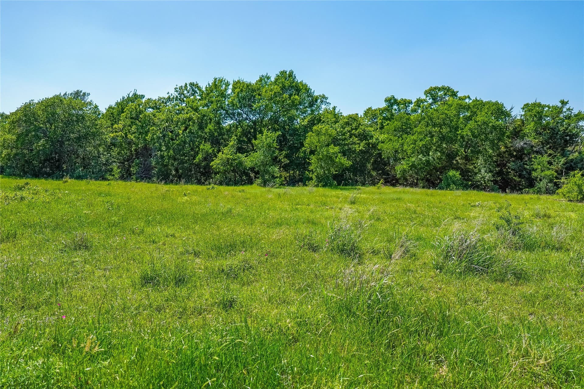 136 acres in Jack County - photo 35