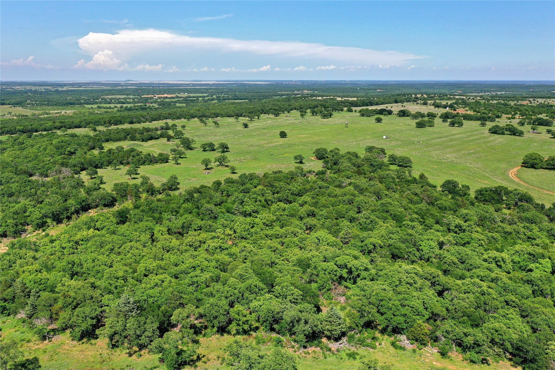 136 acres in Jack County gallery image 4