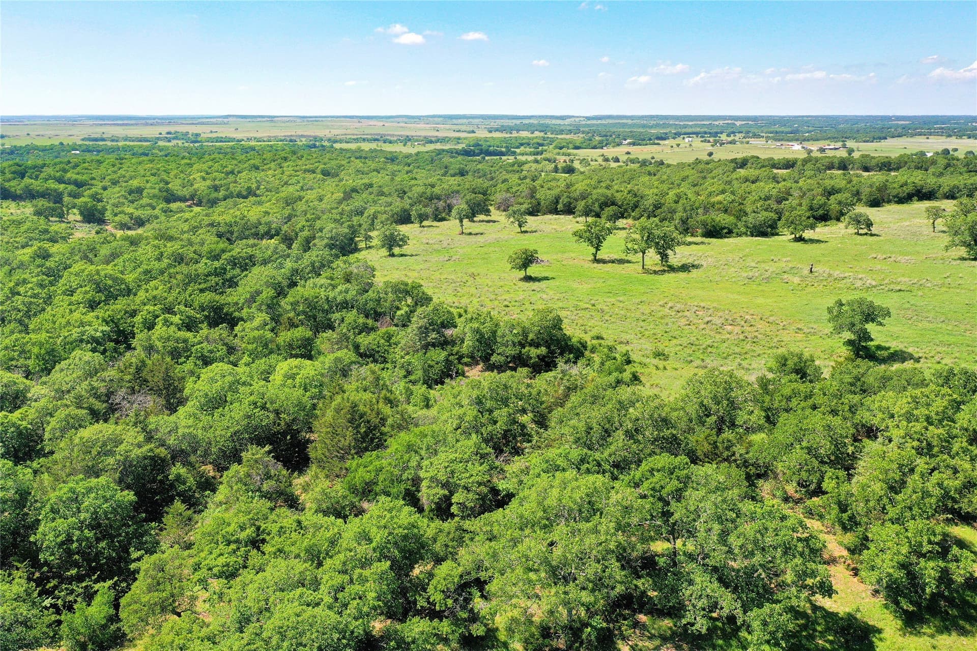 136 acres in Jack County - photo 7