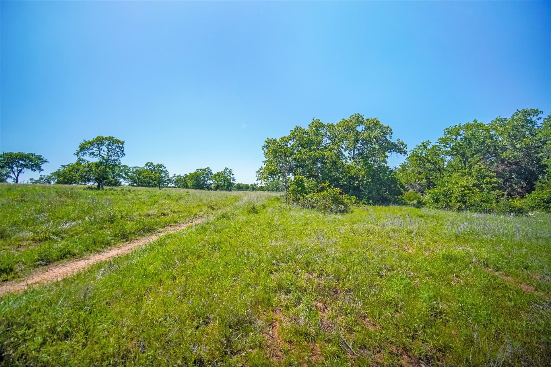 136 acres in Jack County - photo 30