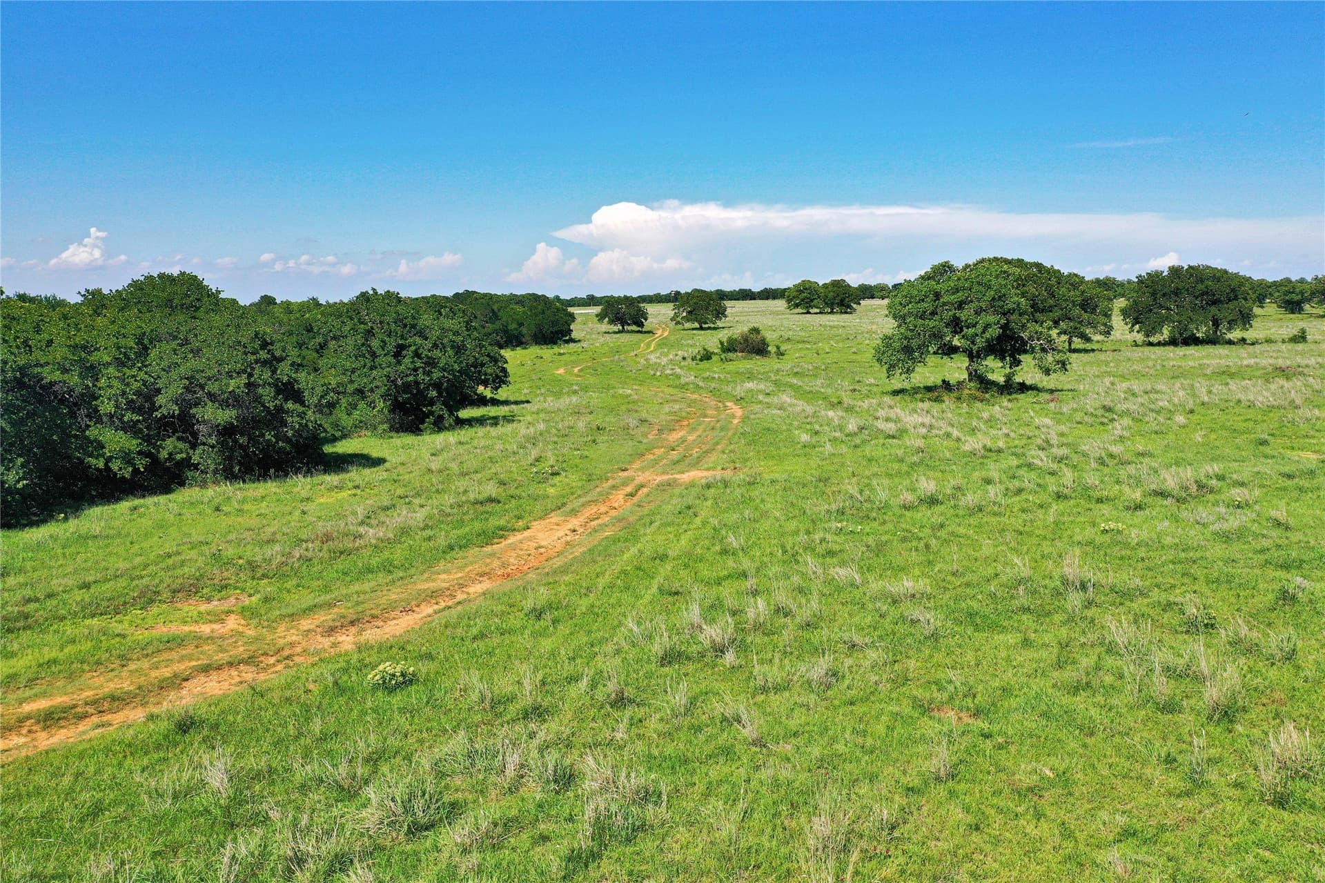 136 acres in Jack County - photo 18
