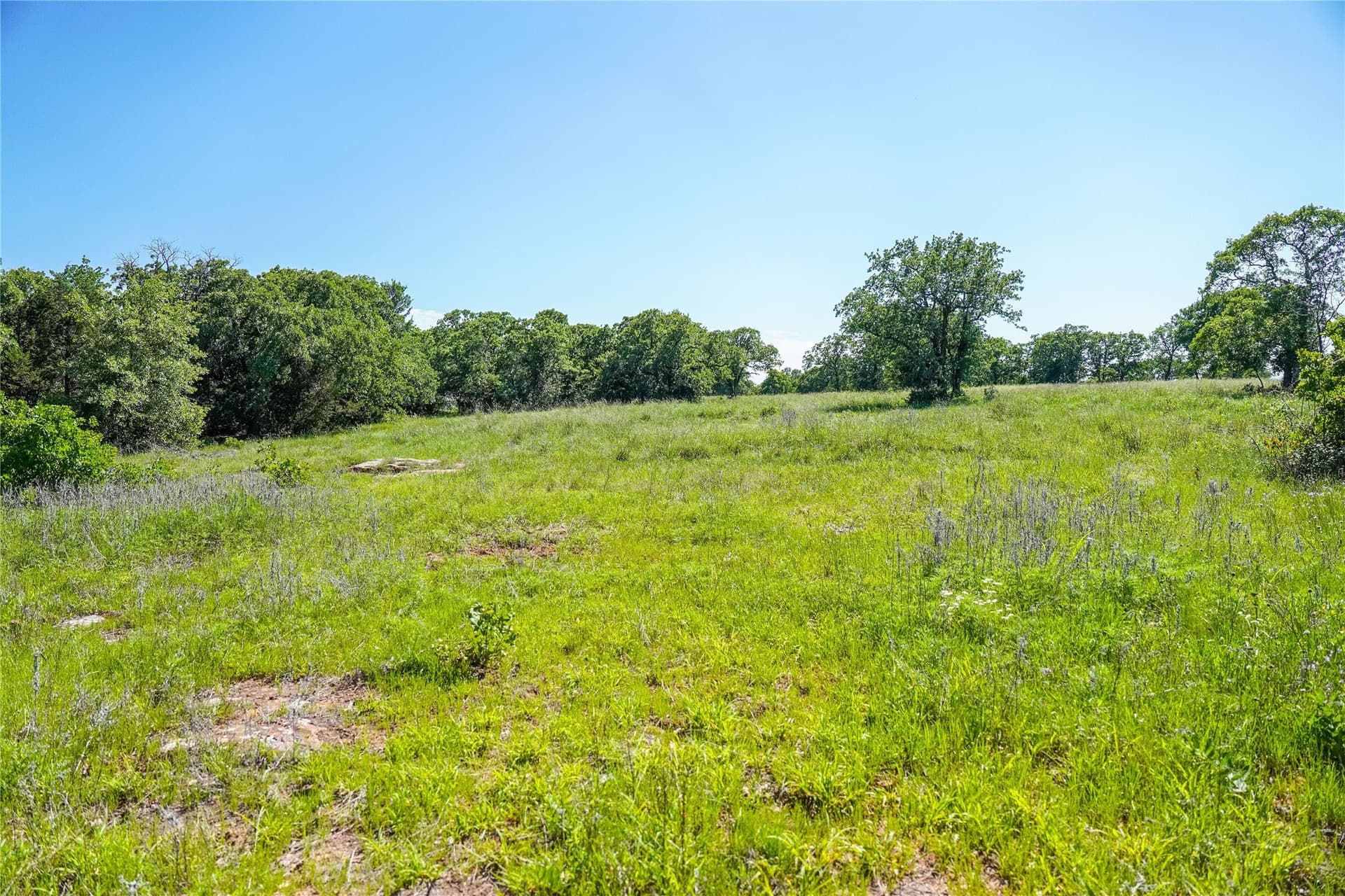 136 acres in Jack County - photo 32