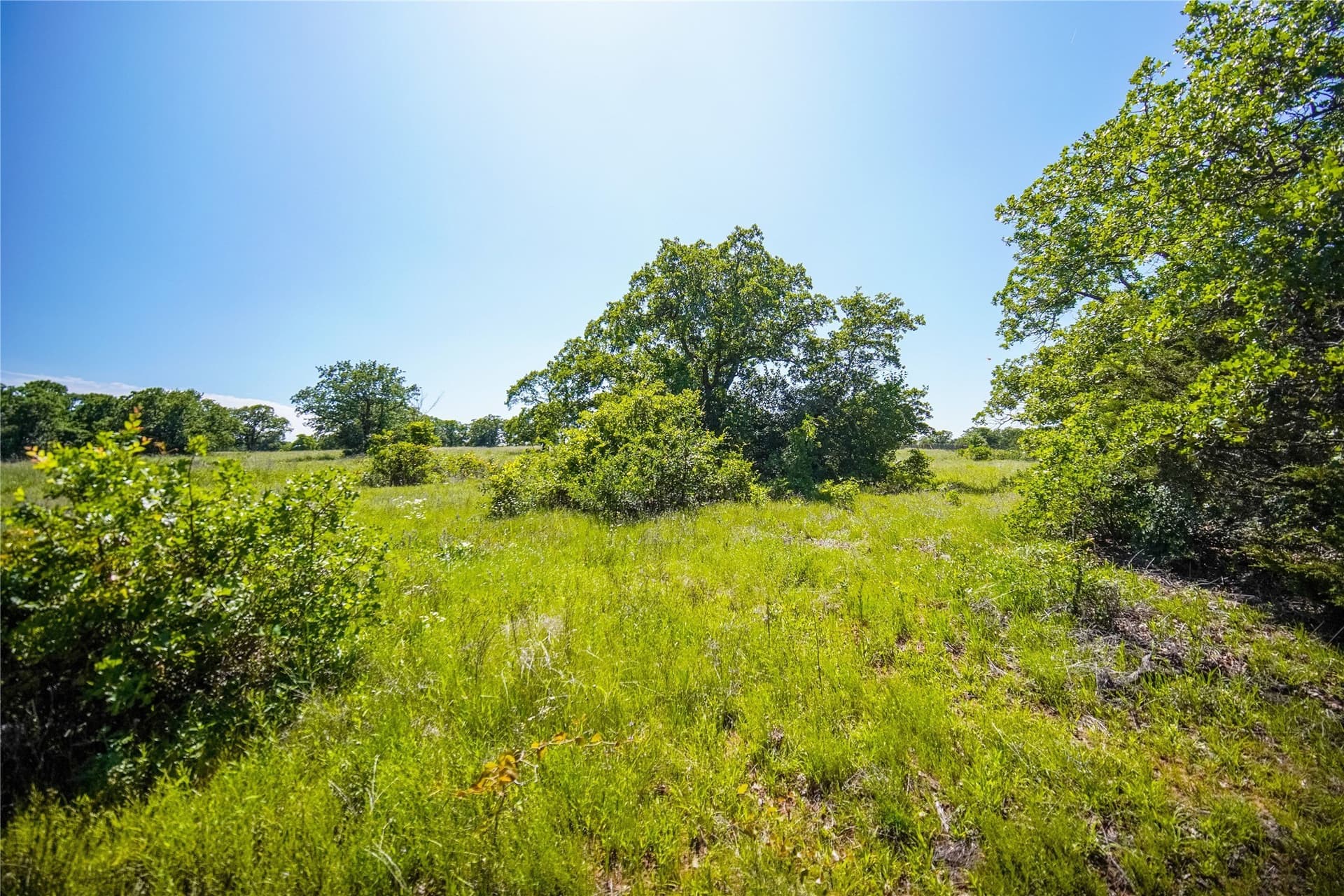 136 acres in Jack County - photo 31