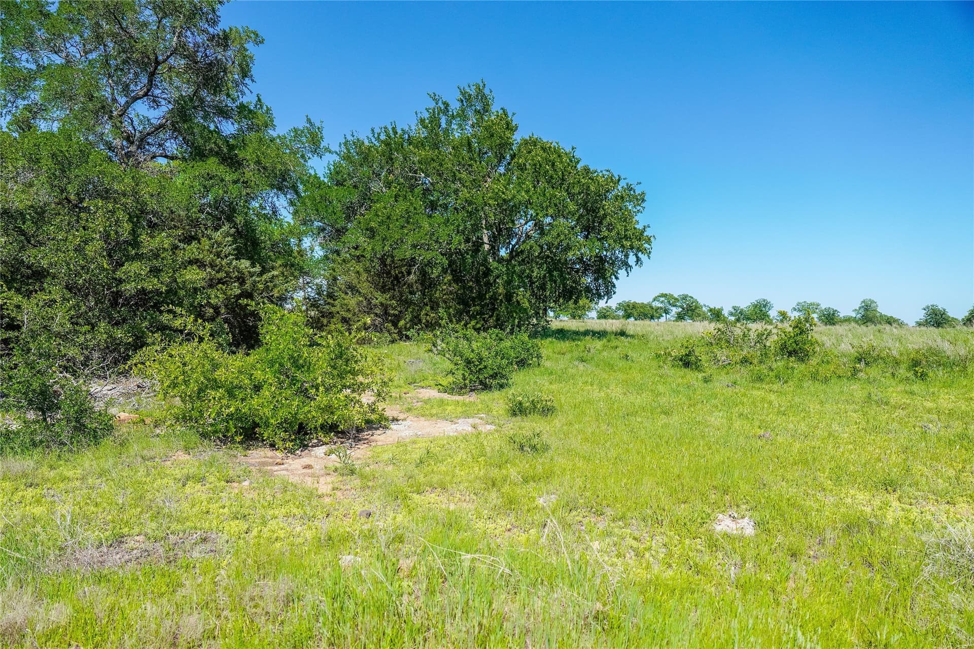 136 acres in Jack County - photo 37