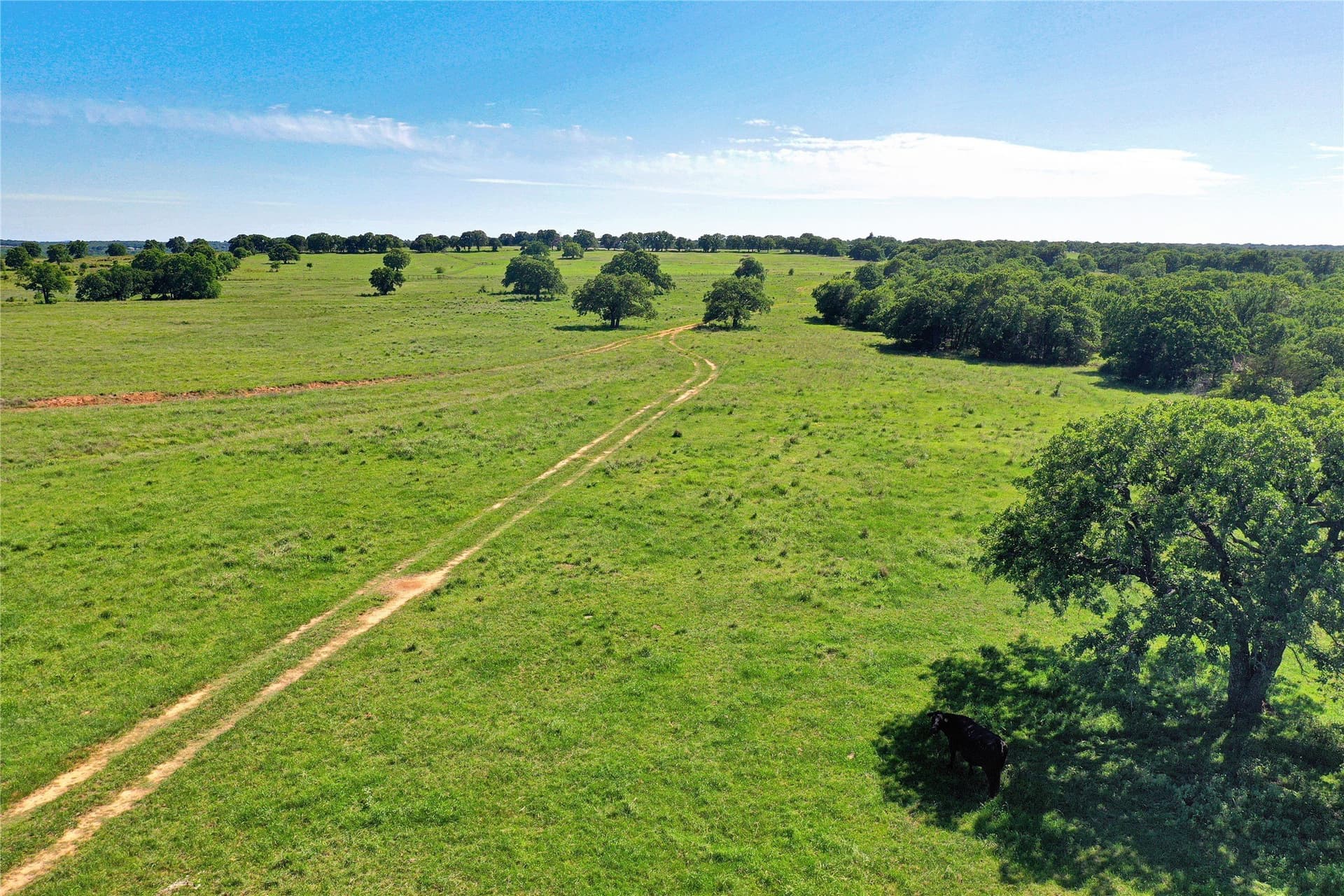 136 acres in Jack County - photo 26