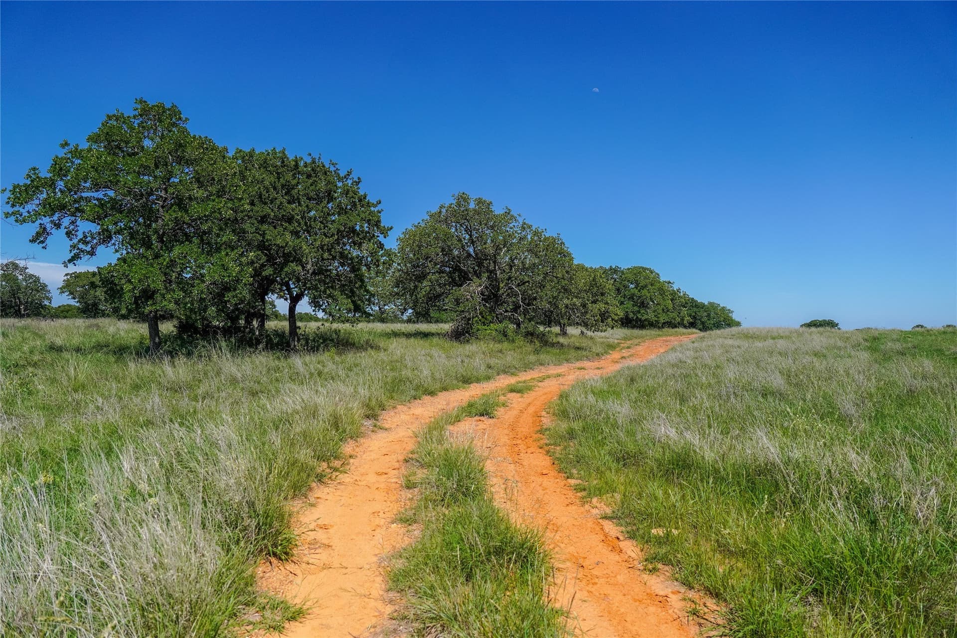 136 acres in Jack County - photo 27