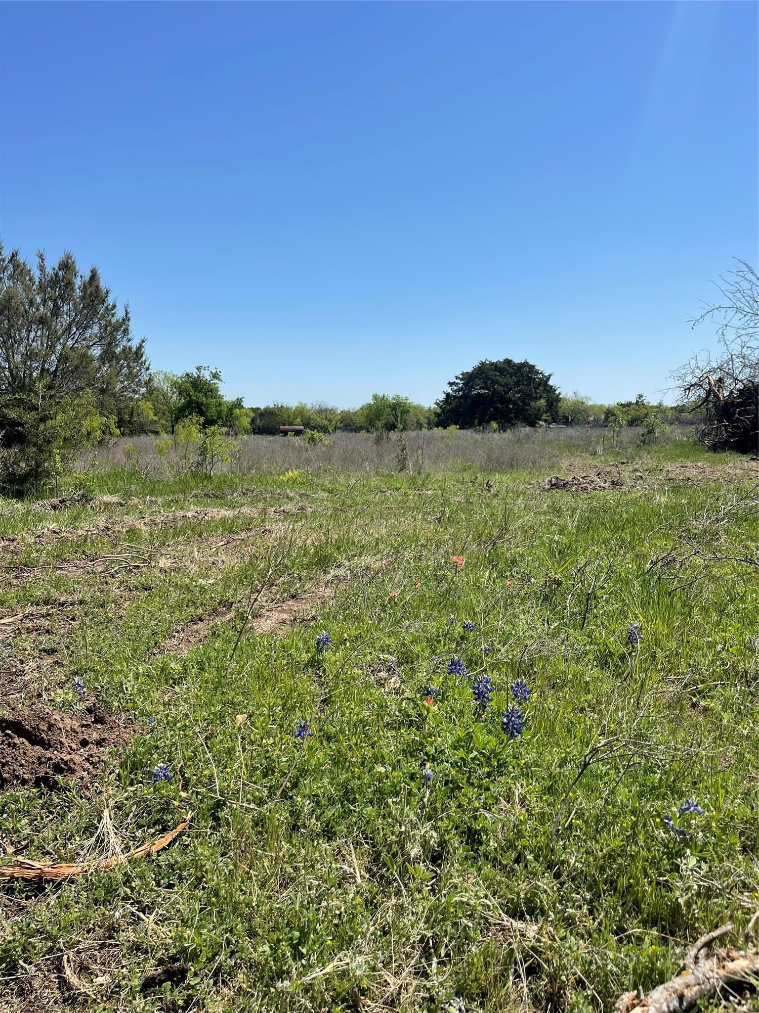 1.18 acres in Bosque County - photo 11