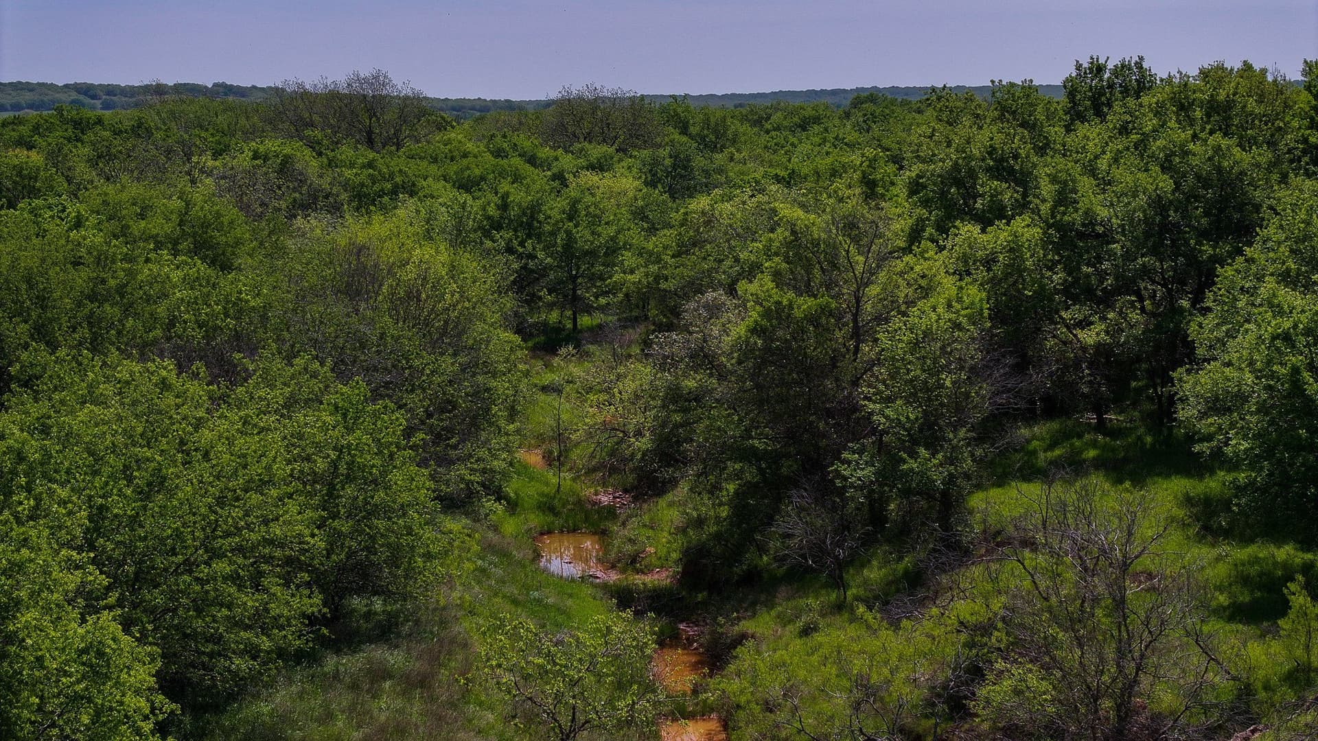20 acres in Montague County - photo 25