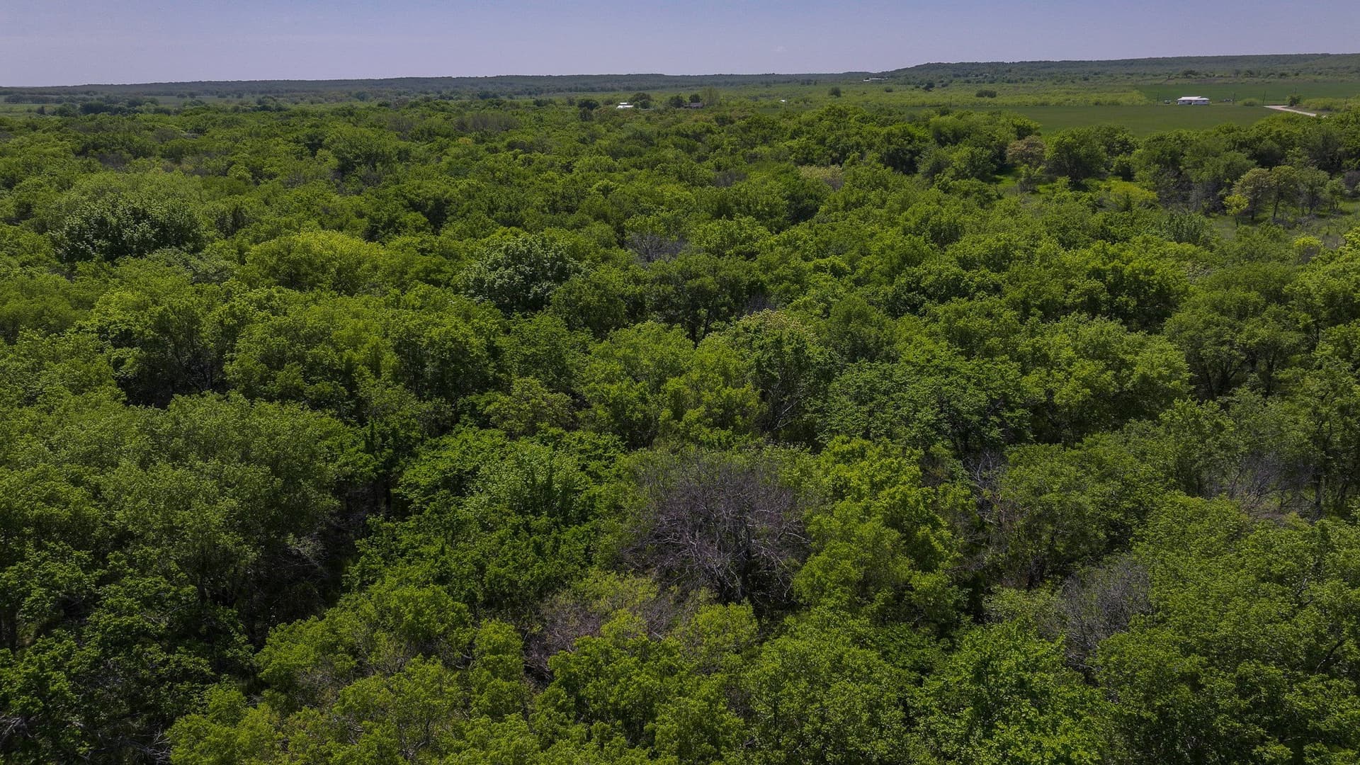 20 acres in Montague County - photo 11