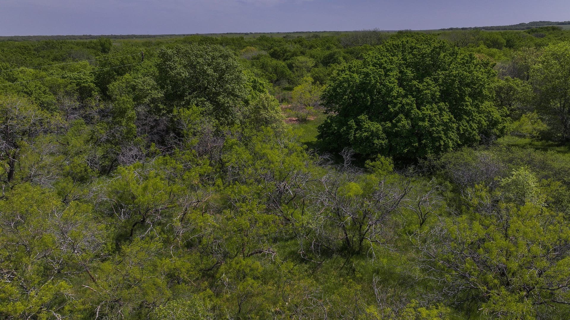 20 acres in Montague County - photo 18