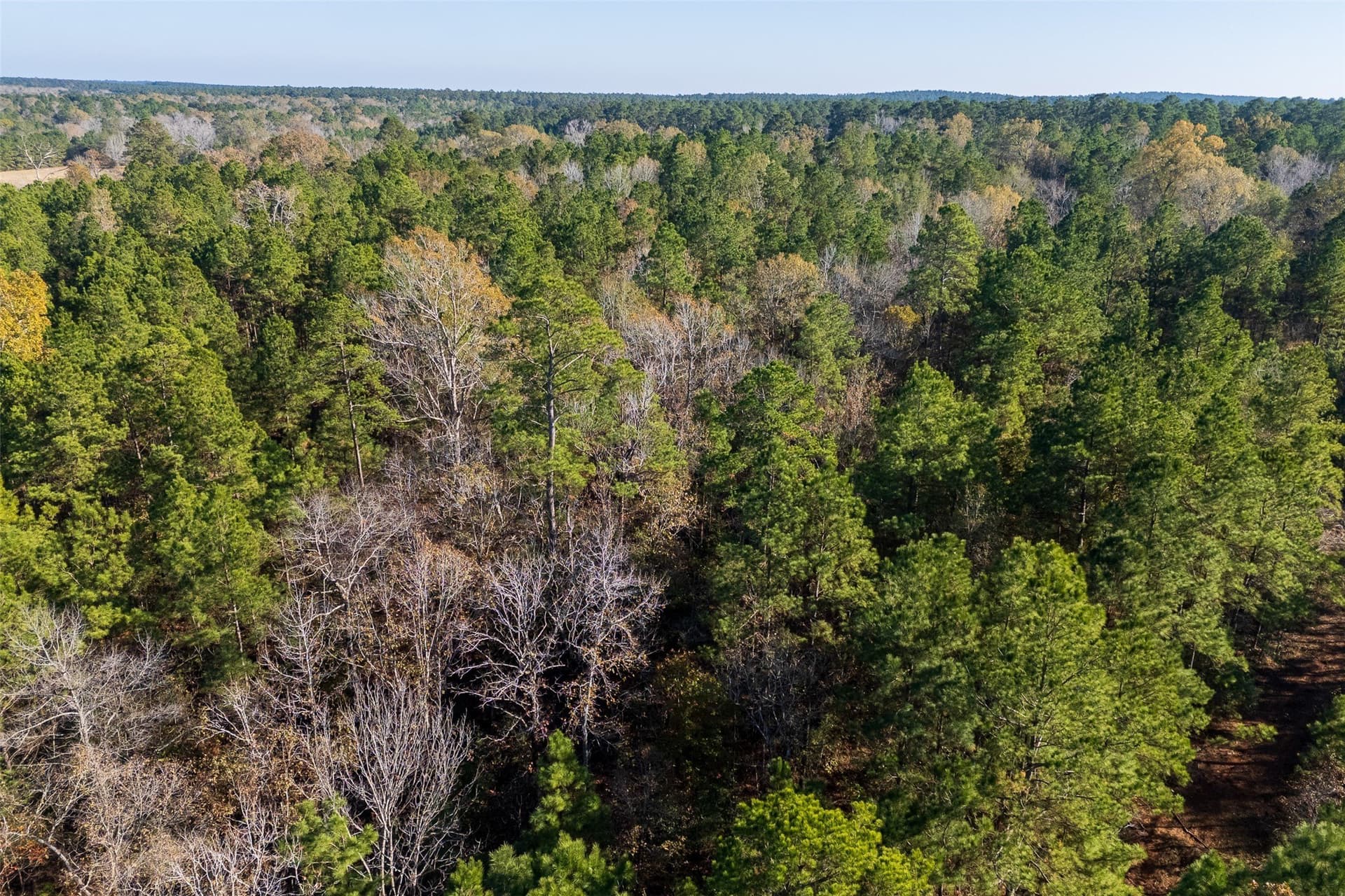70 acres in Houston County
