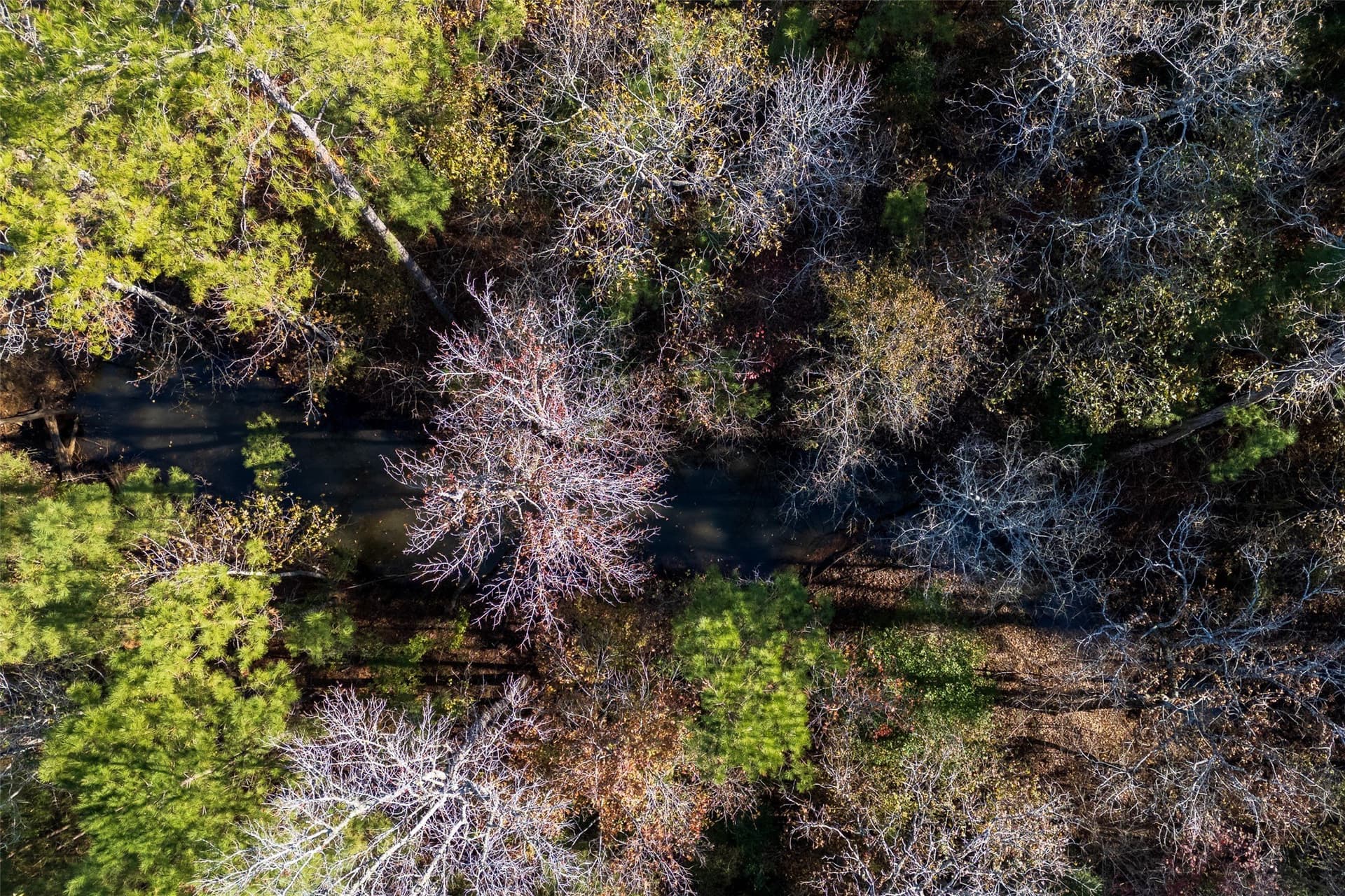70 acres in Houston County gallery image 4