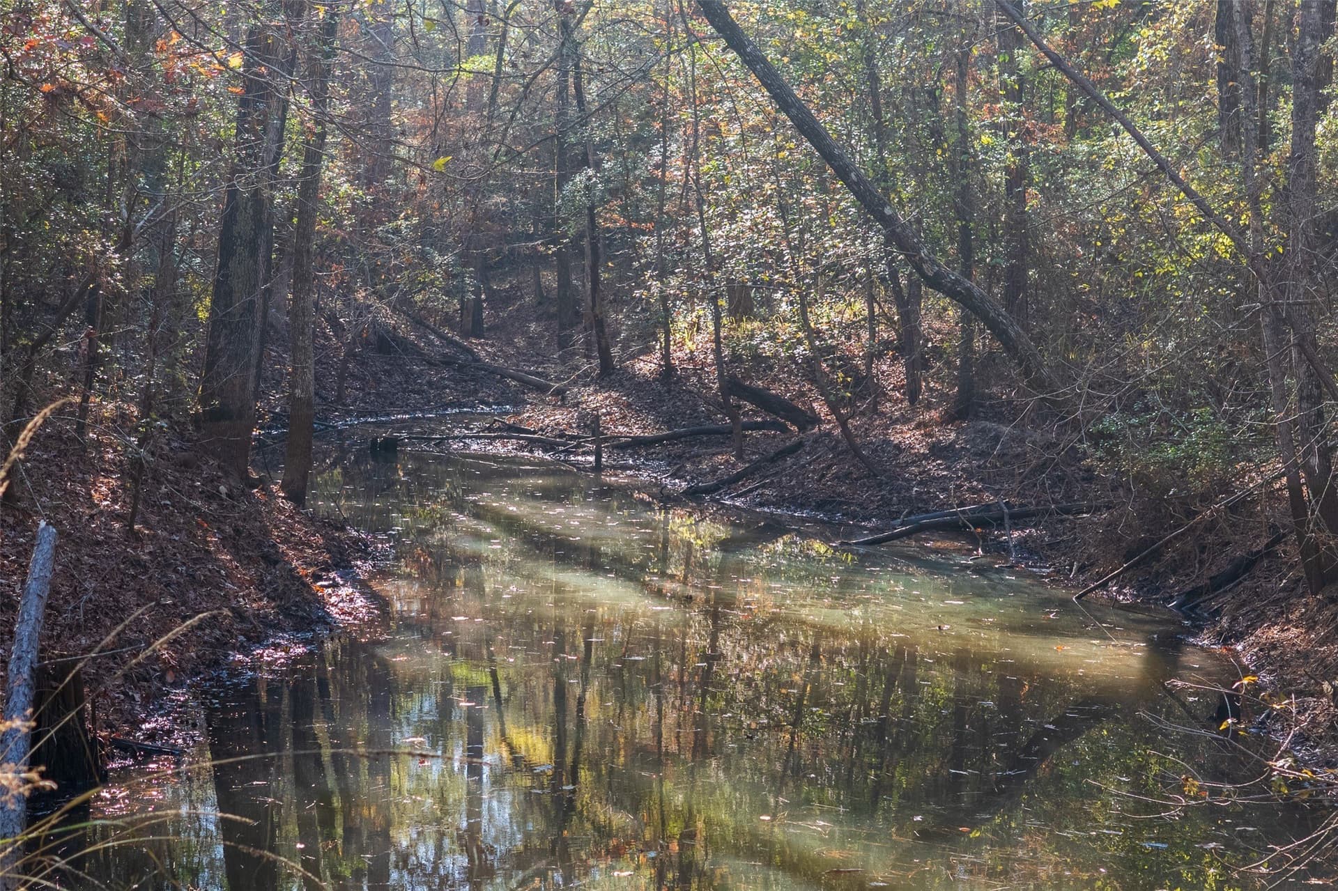70 acres in Houston County featured view
