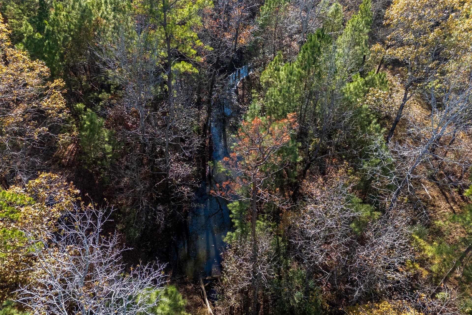 70 acres in Houston County gallery image 3