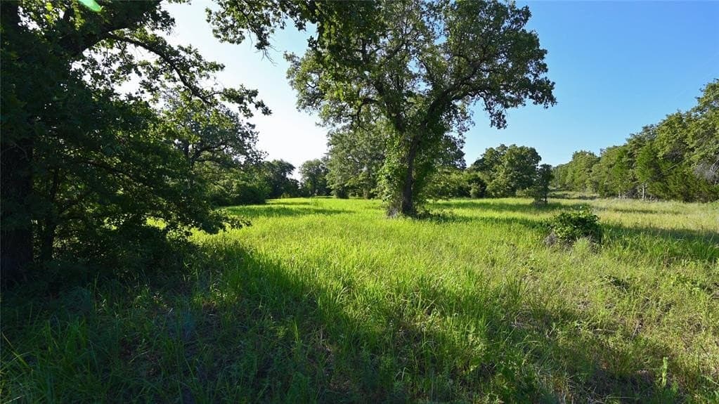 11 acres in Montague County featured view