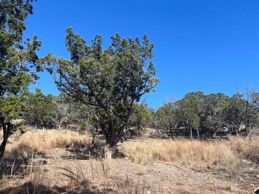 27.1 acres in Kerr County - photo 23