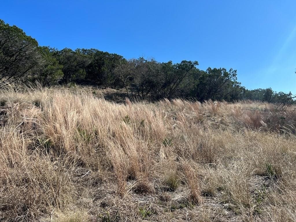 27.1 acres in Kerr County - photo 15