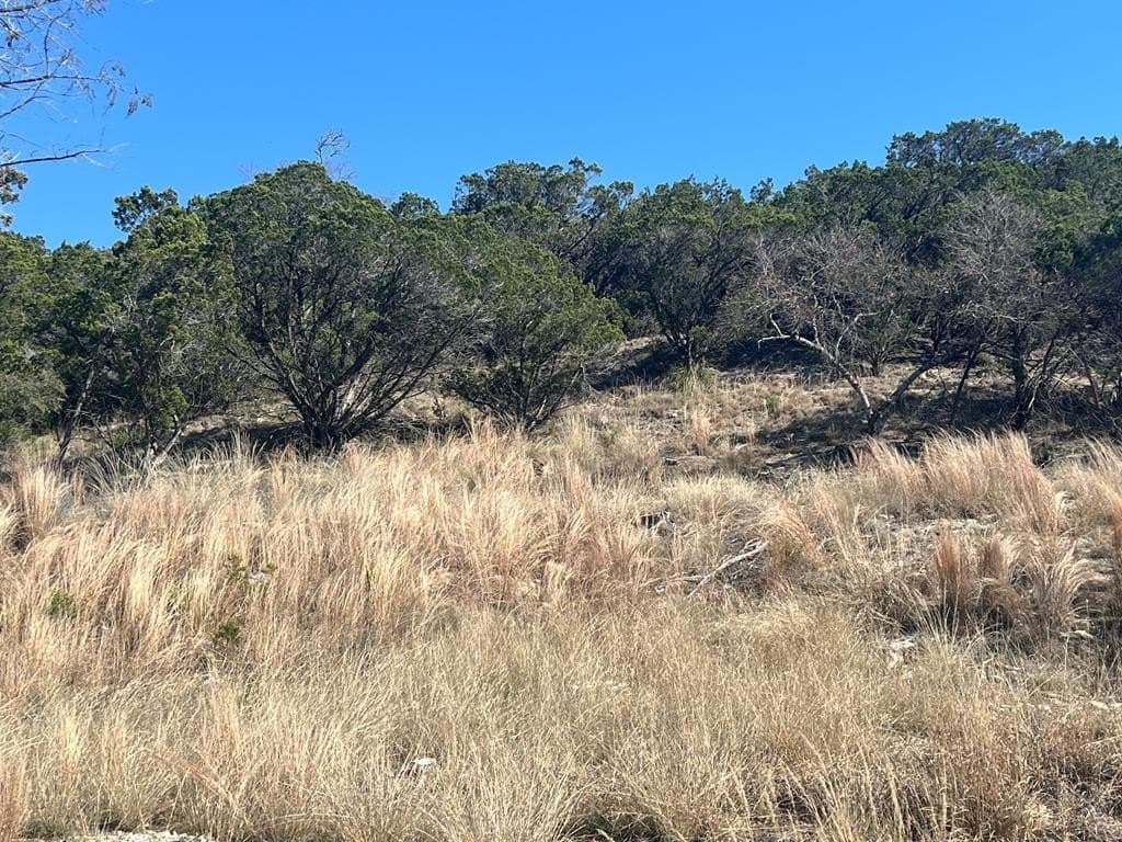 27.1 acres in Kerr County - photo 24