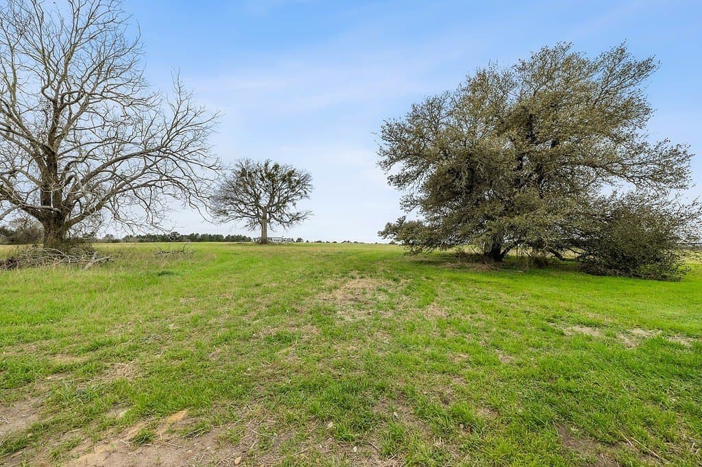 2 acres in Fayette County gallery image 2