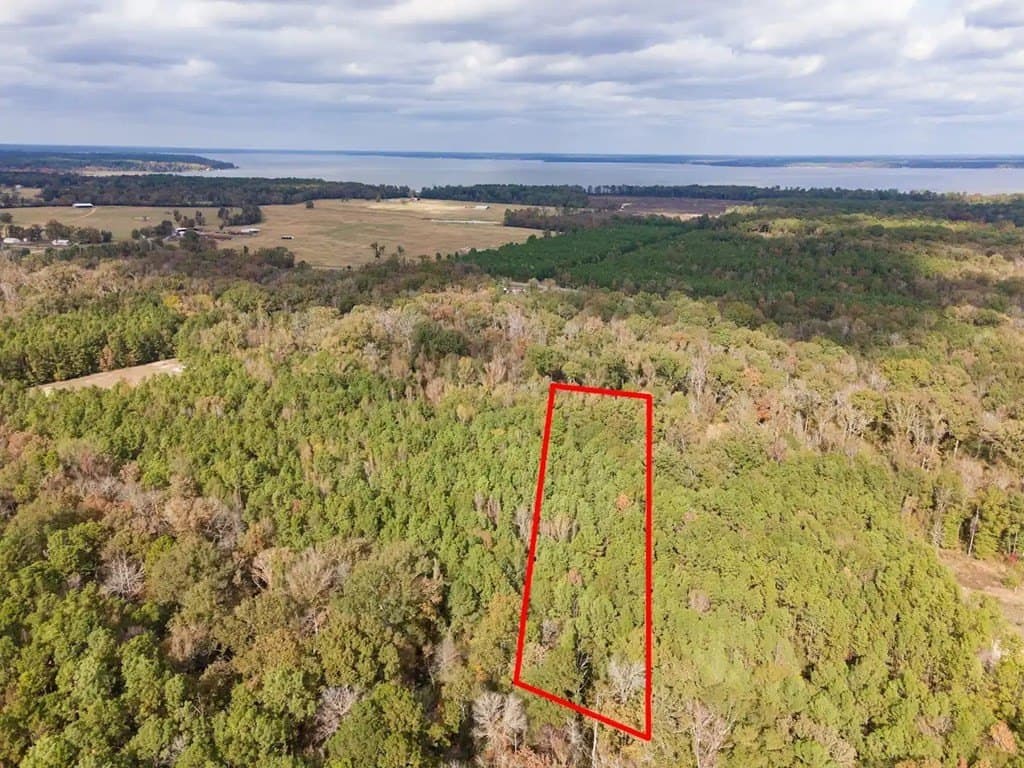2.94 acres in Texas County gallery image 2