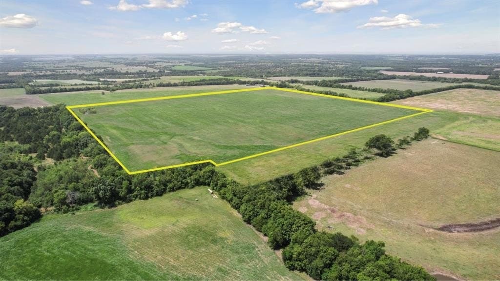 68.66 acres in Fannin County gallery image 3