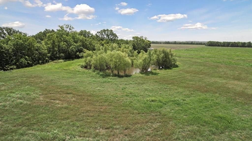 68.66 acres in Fannin County featured view