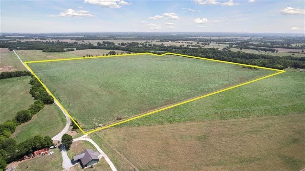 68.66 acres in Fannin County gallery image 4