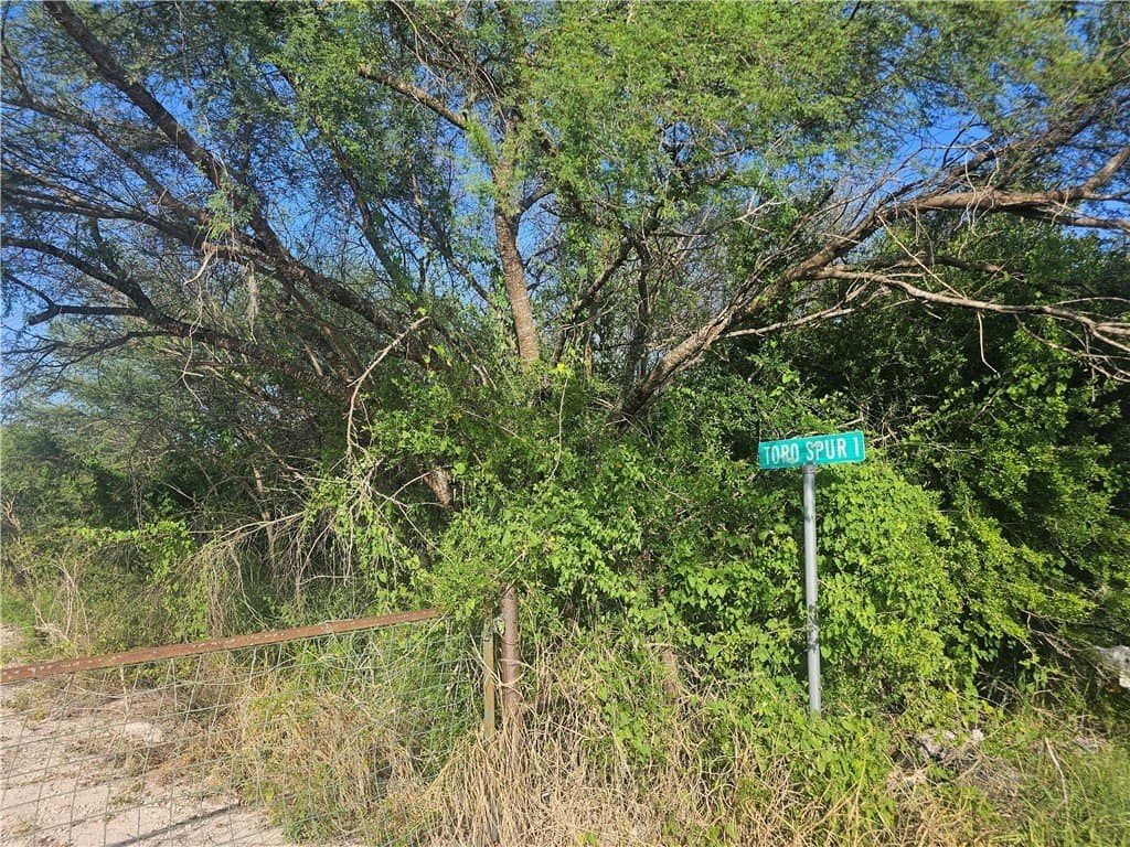 10.1 acres in Duval County gallery image 3