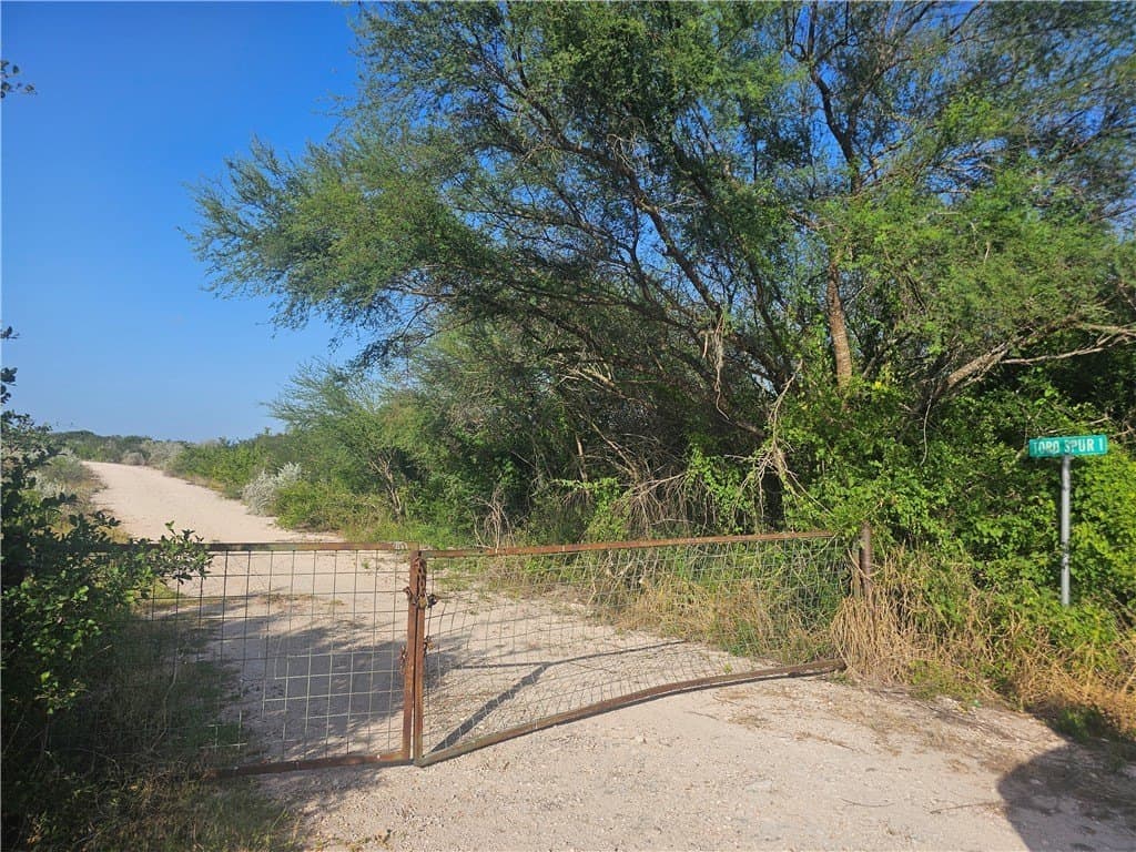 10.1 acres in Duval County gallery image 2