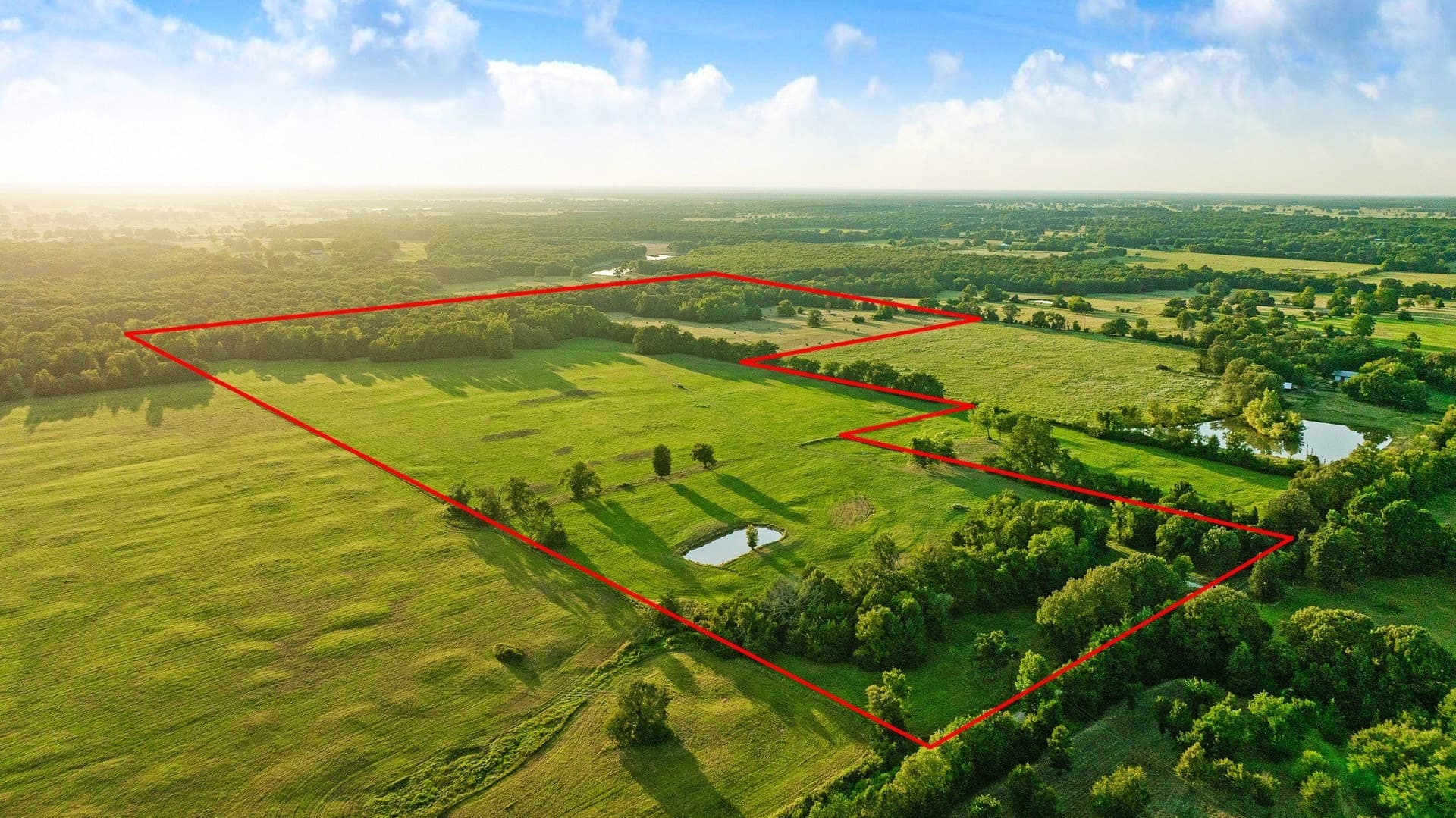 90.2 acres in Red River (TX) County - photo 6
