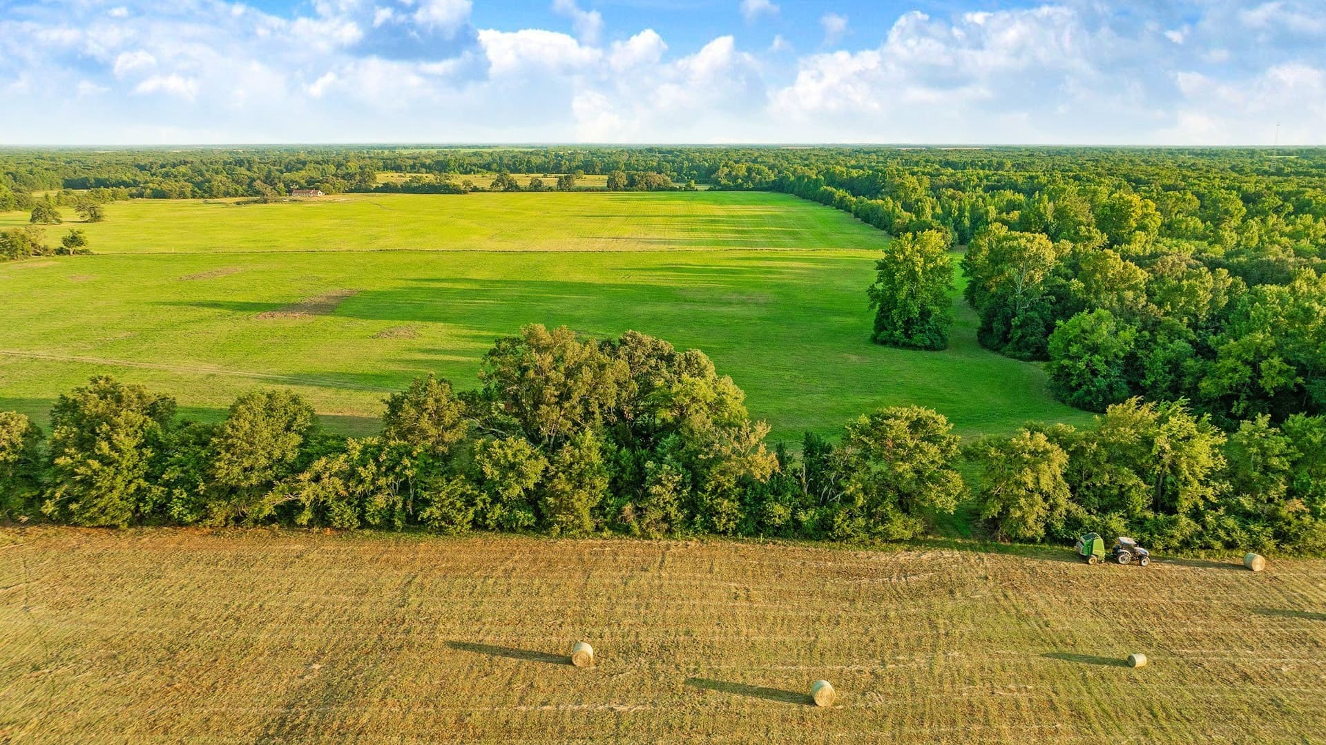90.2 acres in Red River (TX) County - photo 17