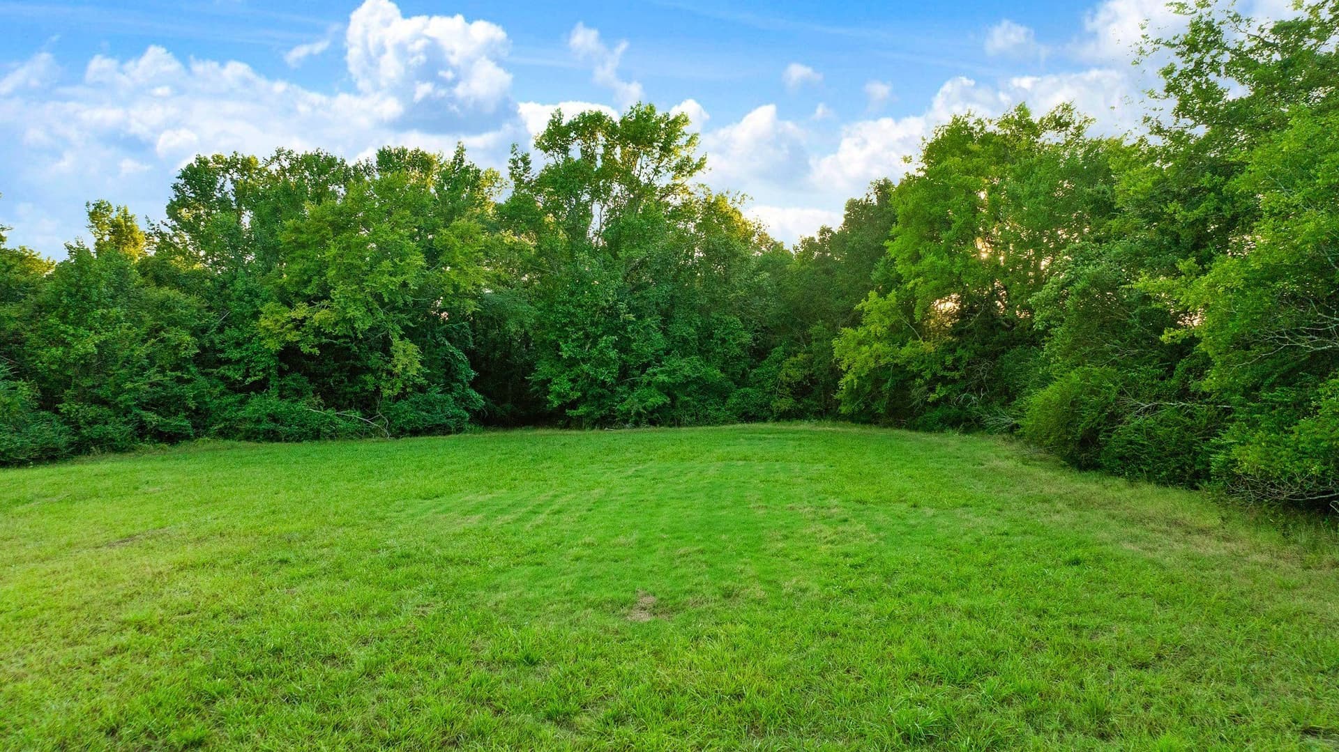 90.2 acres in Red River (TX) County - photo 20