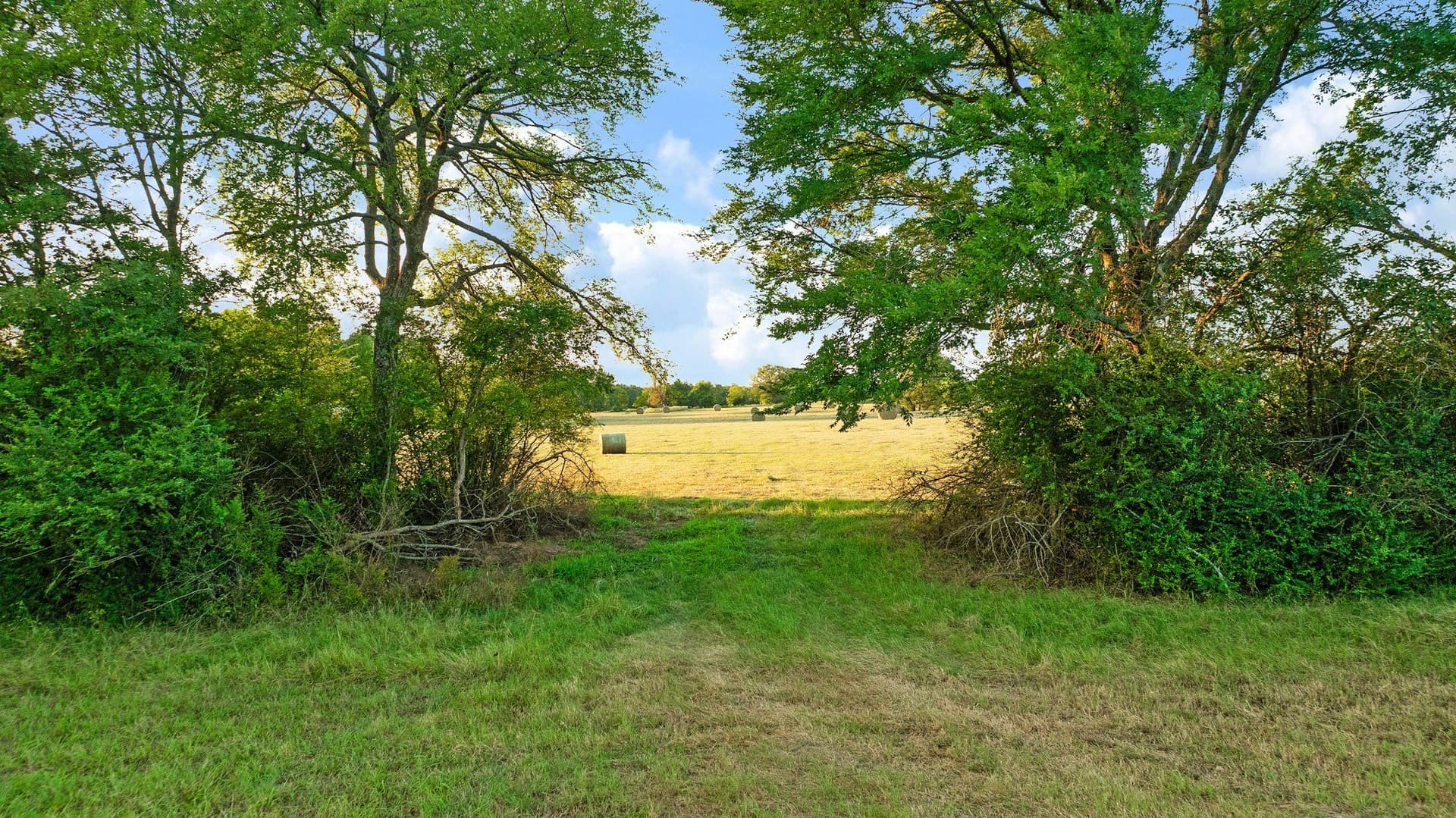 90.2 acres in Red River (TX) County - photo 19