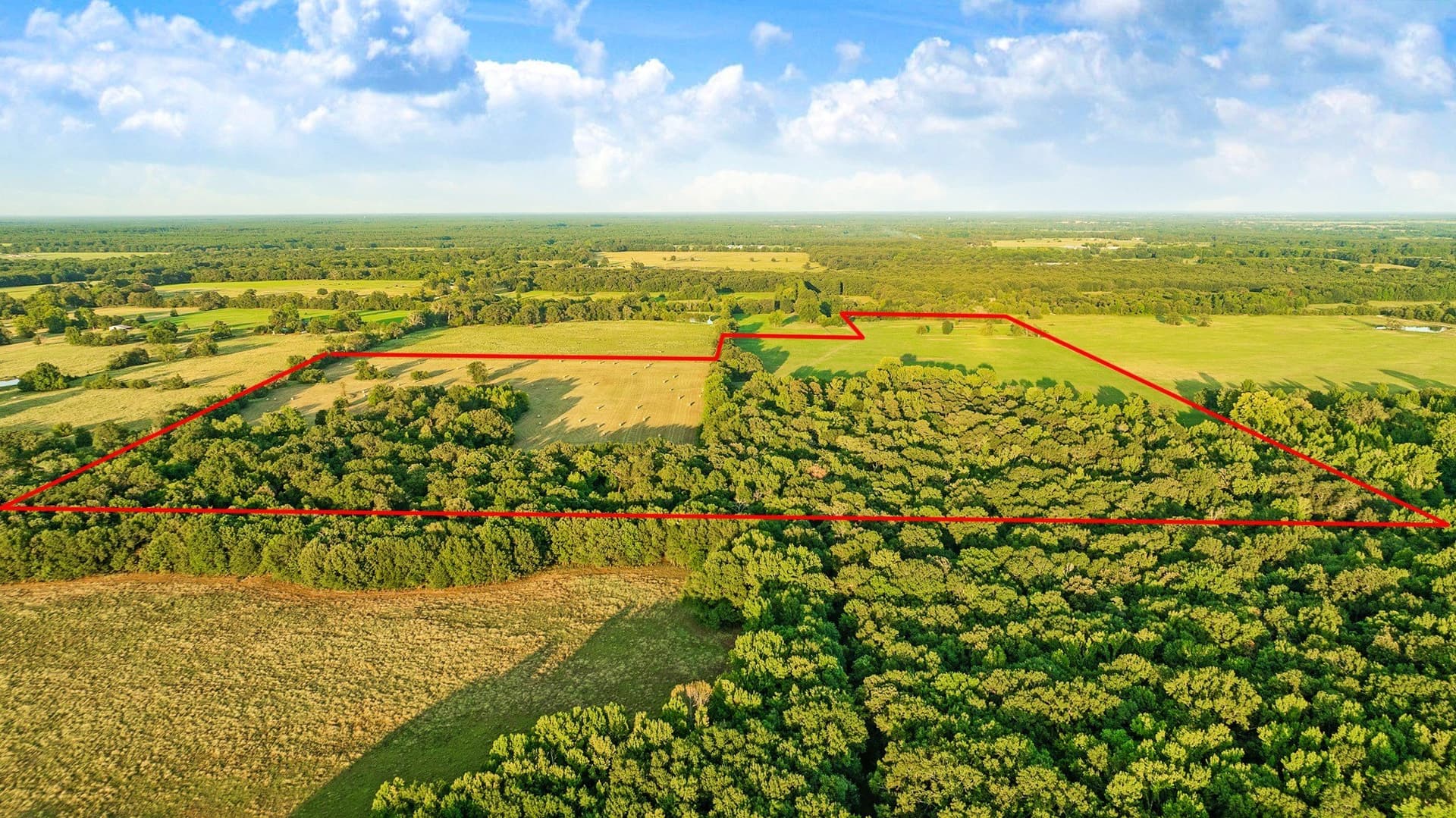 90.2 acres in Red River (TX) County - photo 10