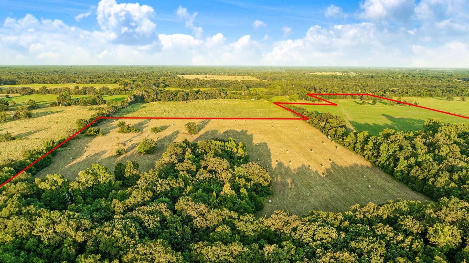 90.2 acres in Red River (TX) County - photo 14