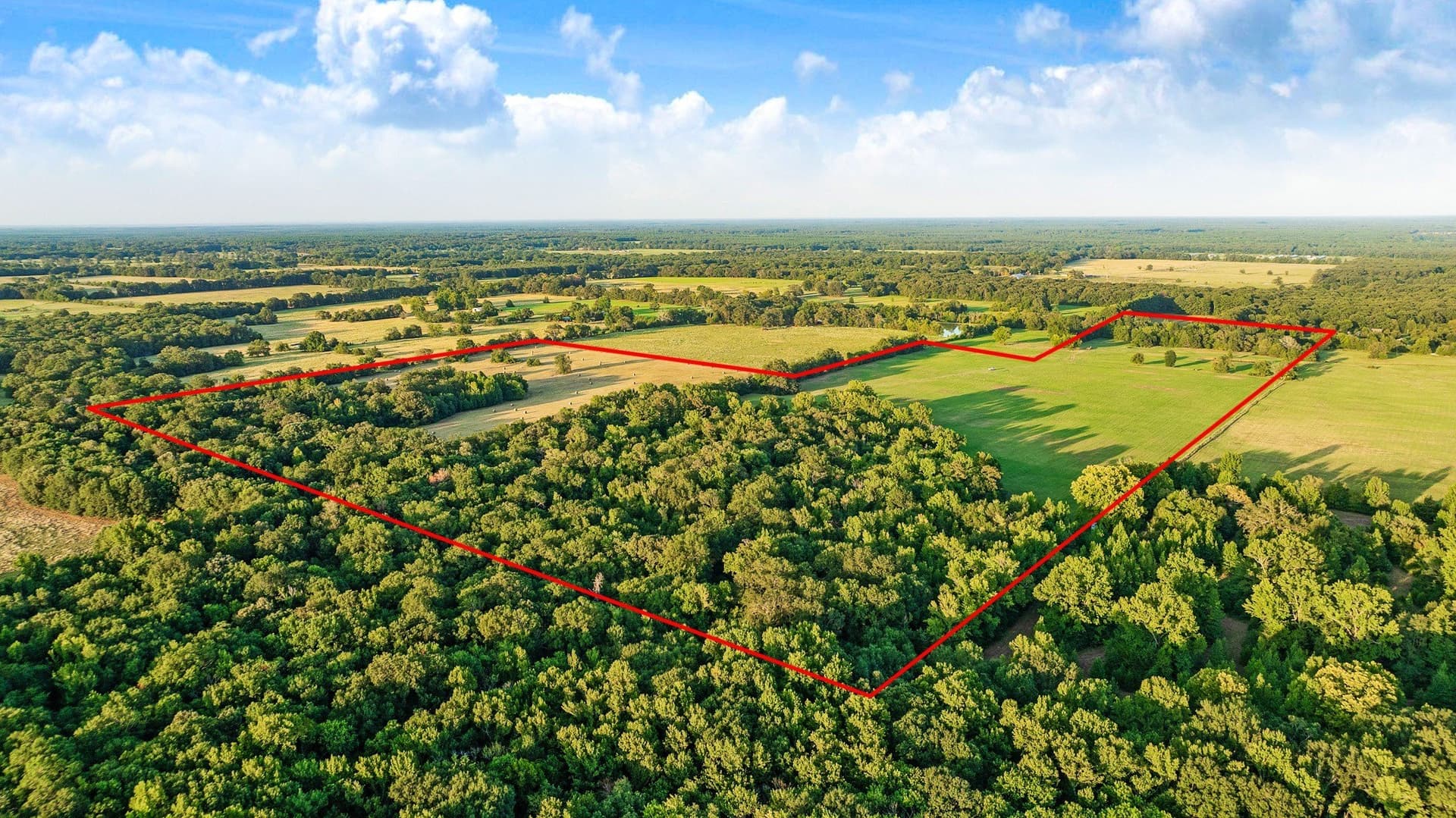90.2 acres in Red River (TX) County - photo 8