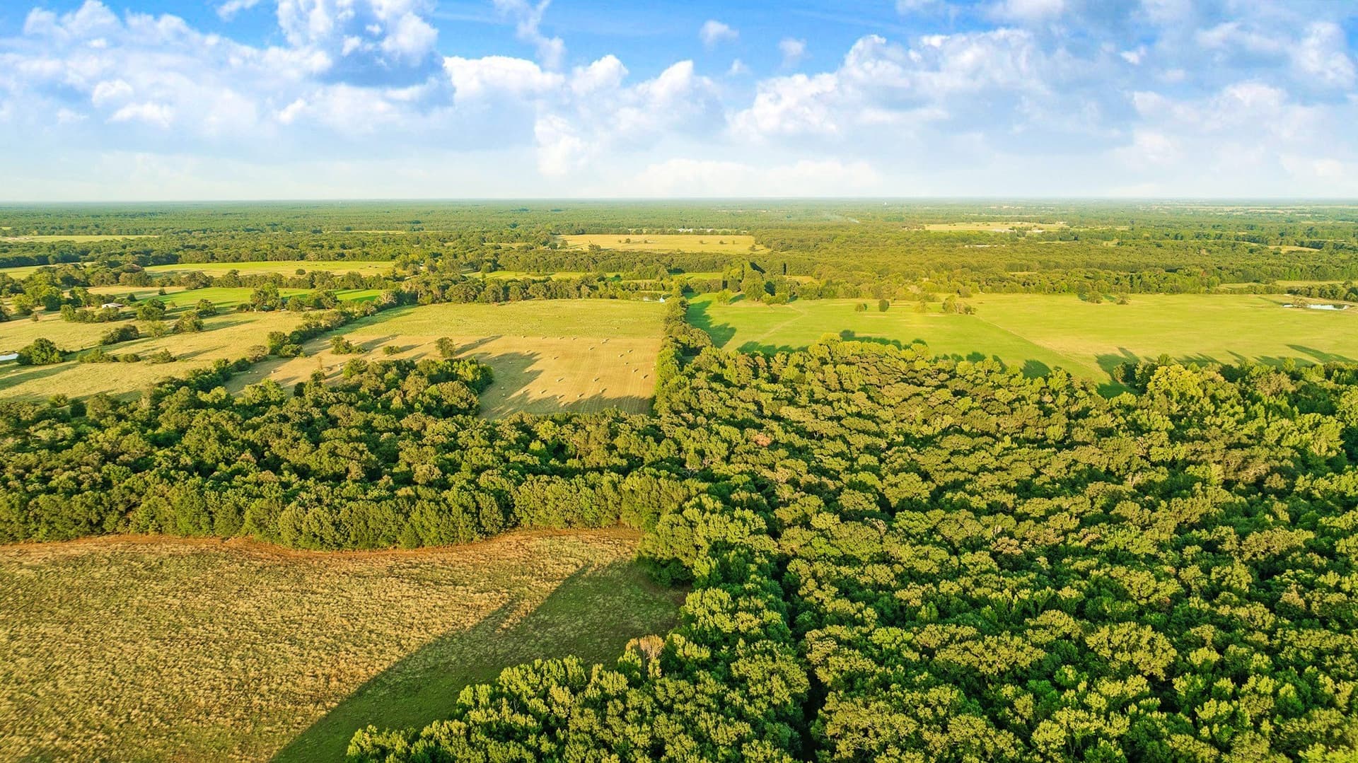 90.2 acres in Red River (TX) County - photo 11