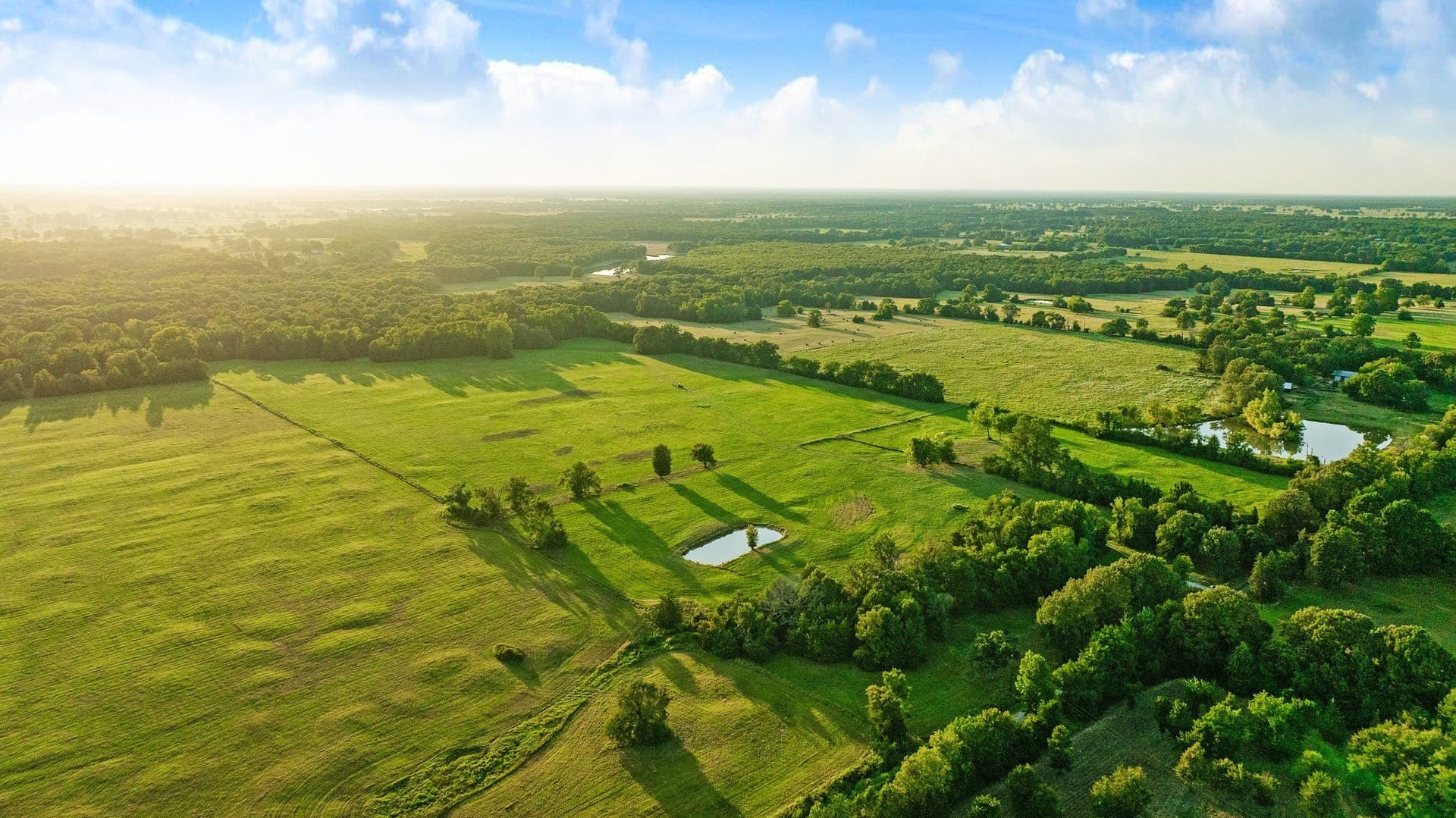 90.2 acres in Red River (TX) County - photo 7