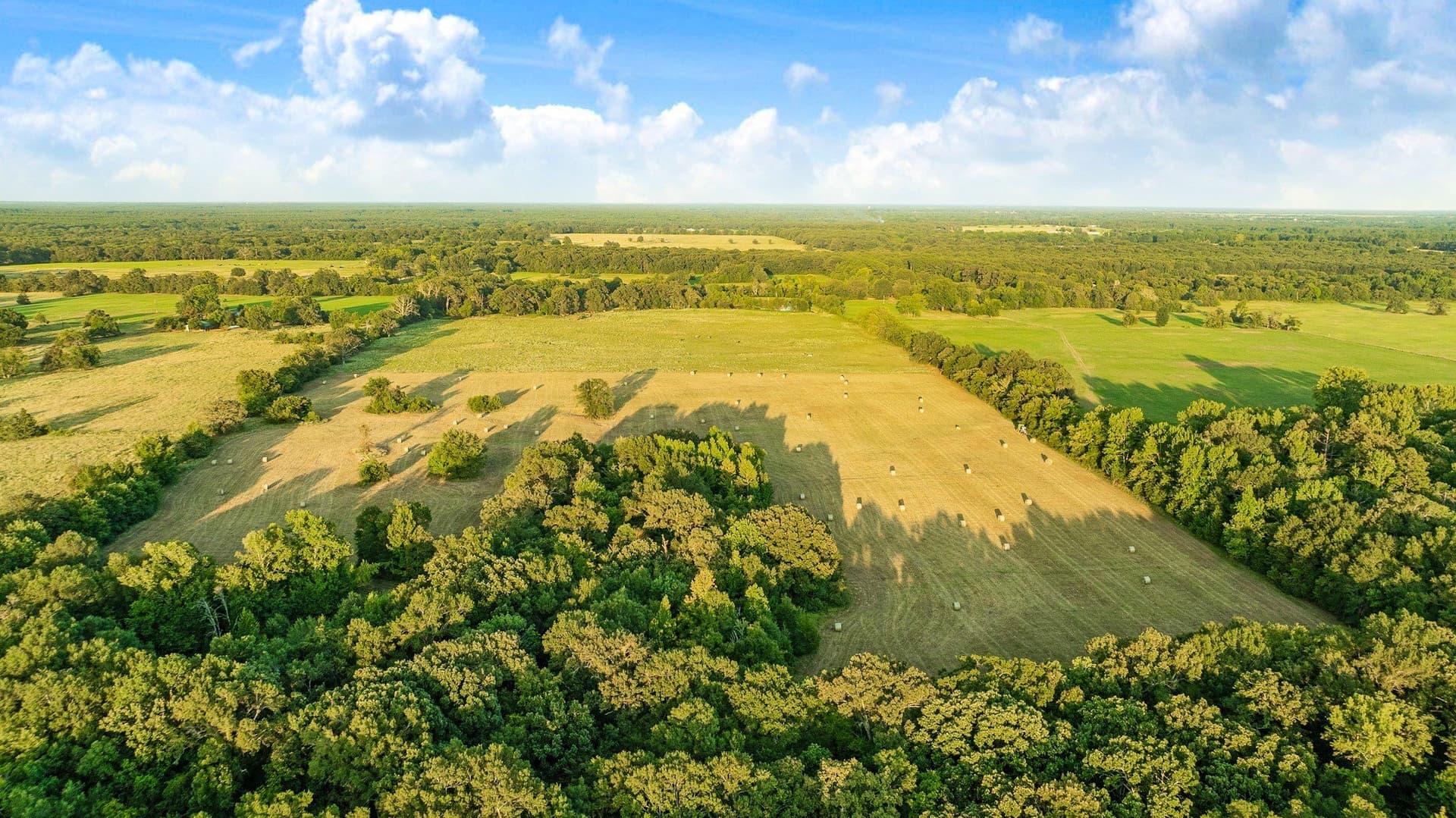 90.2 acres in Red River (TX) County - photo 15
