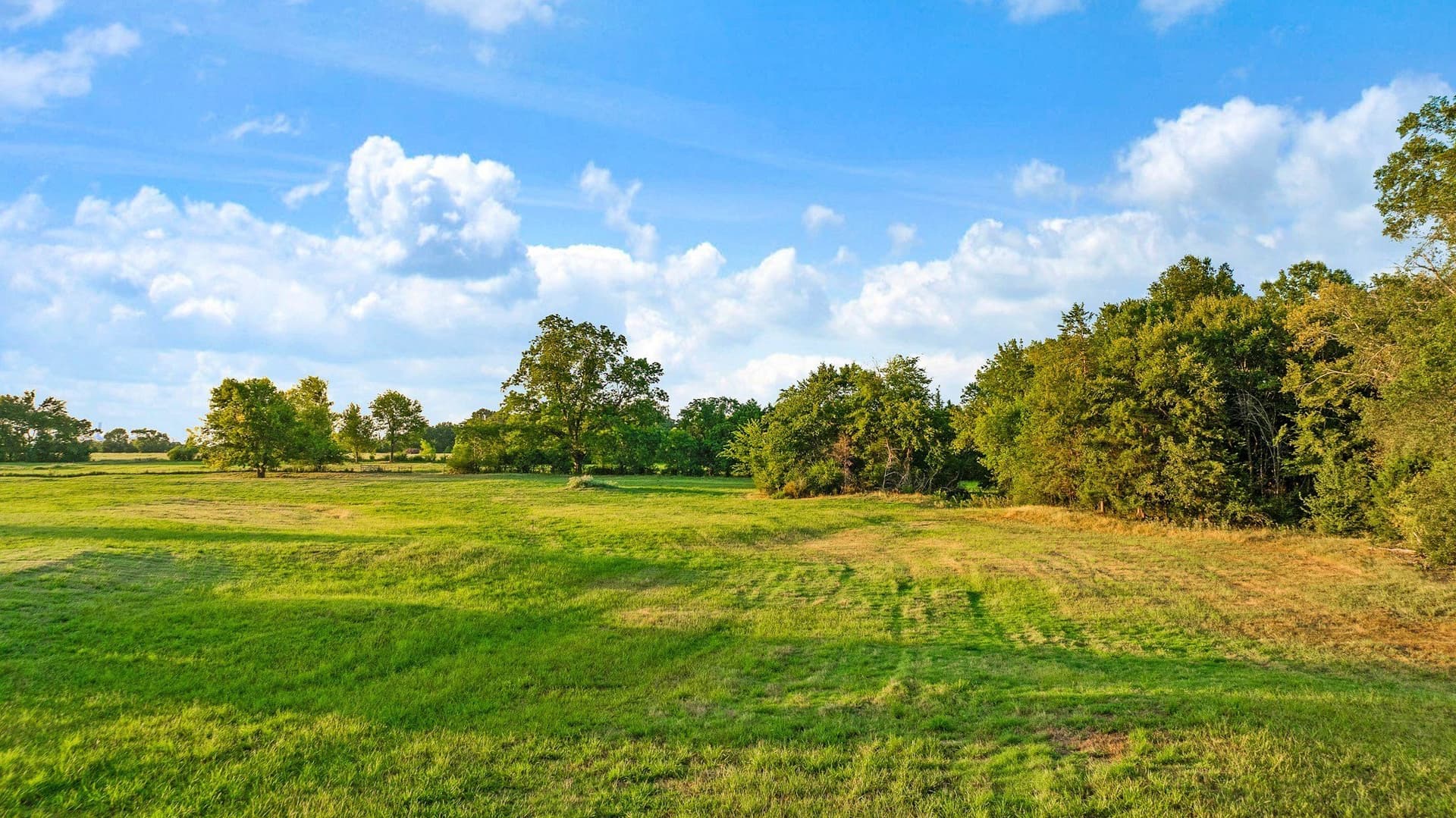 90.2 acres in Red River (TX) County - photo 24