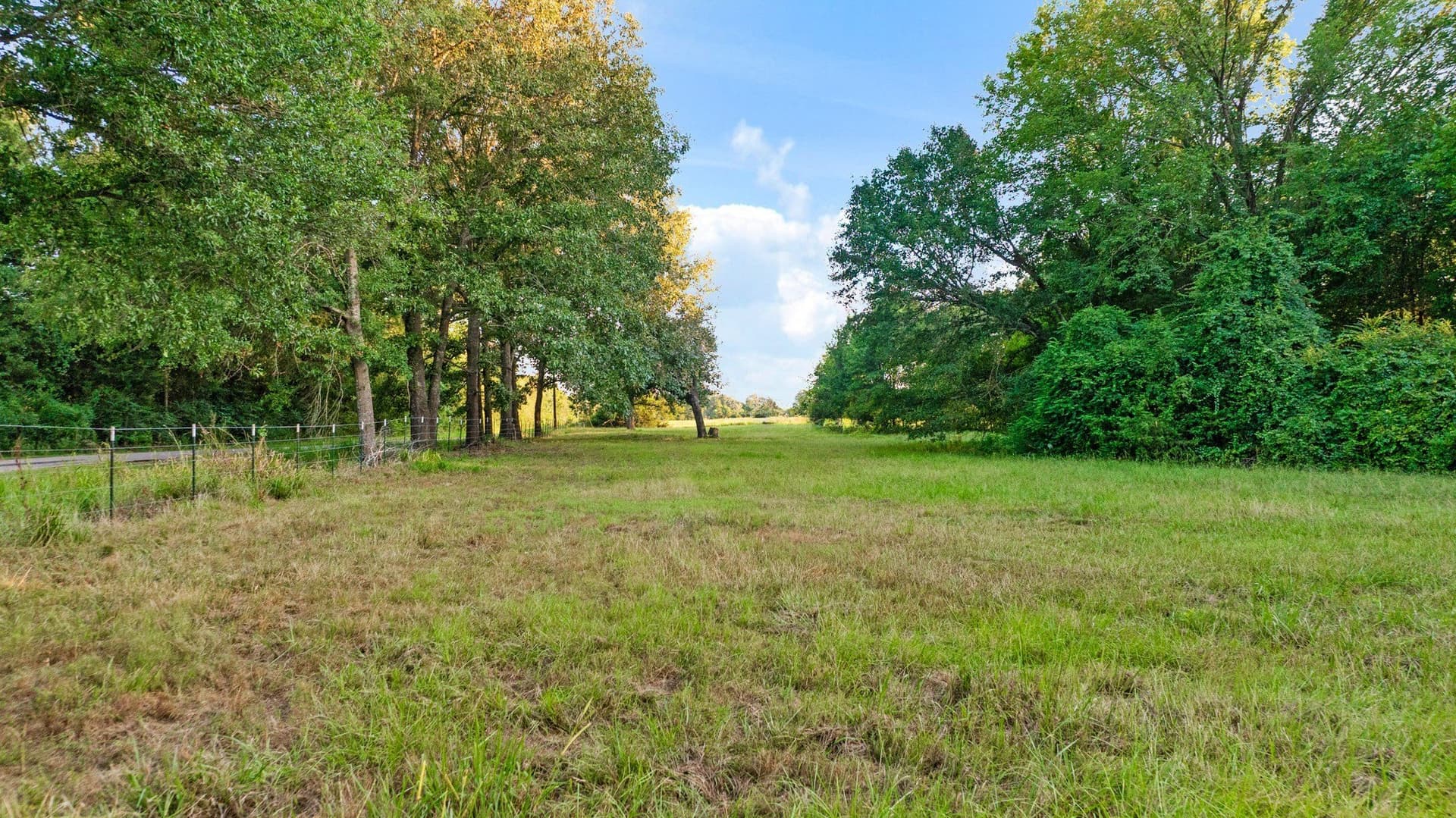 90.2 acres in Red River (TX) County - photo 2