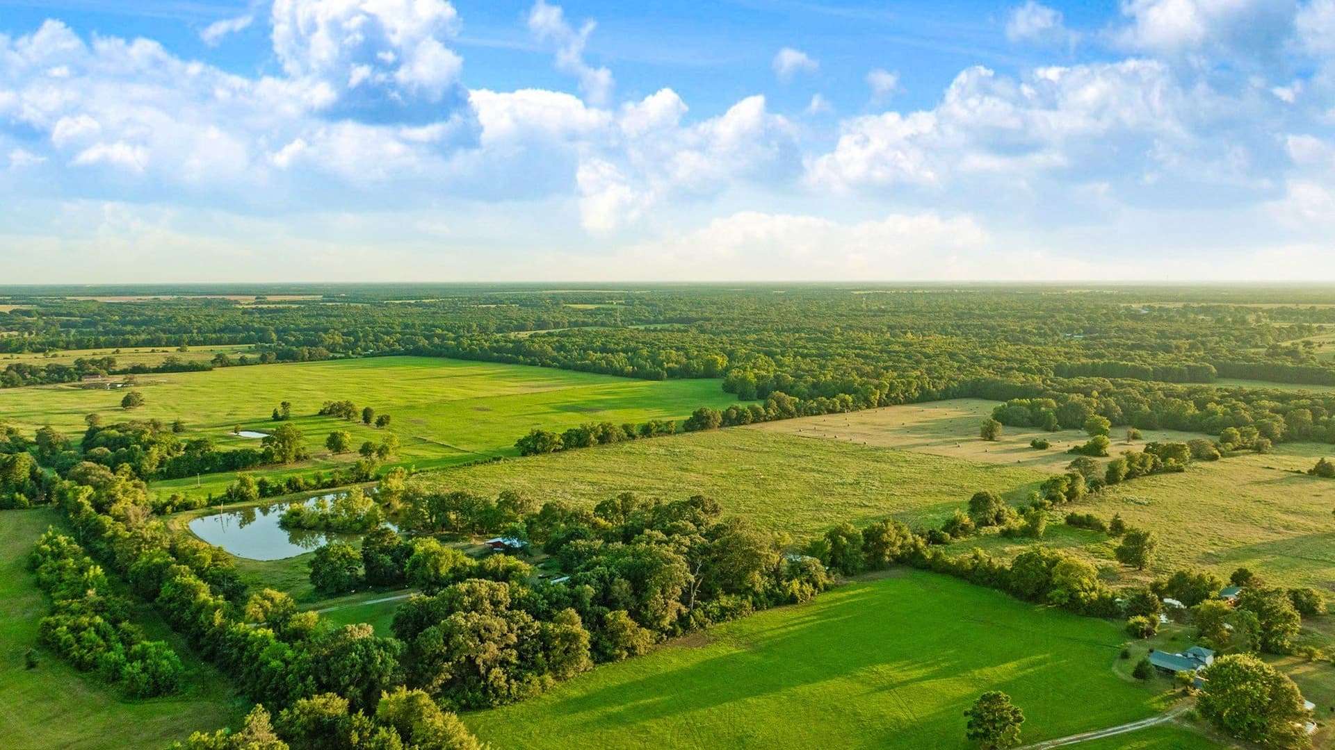 90.2 acres in Red River (TX) County - photo 25