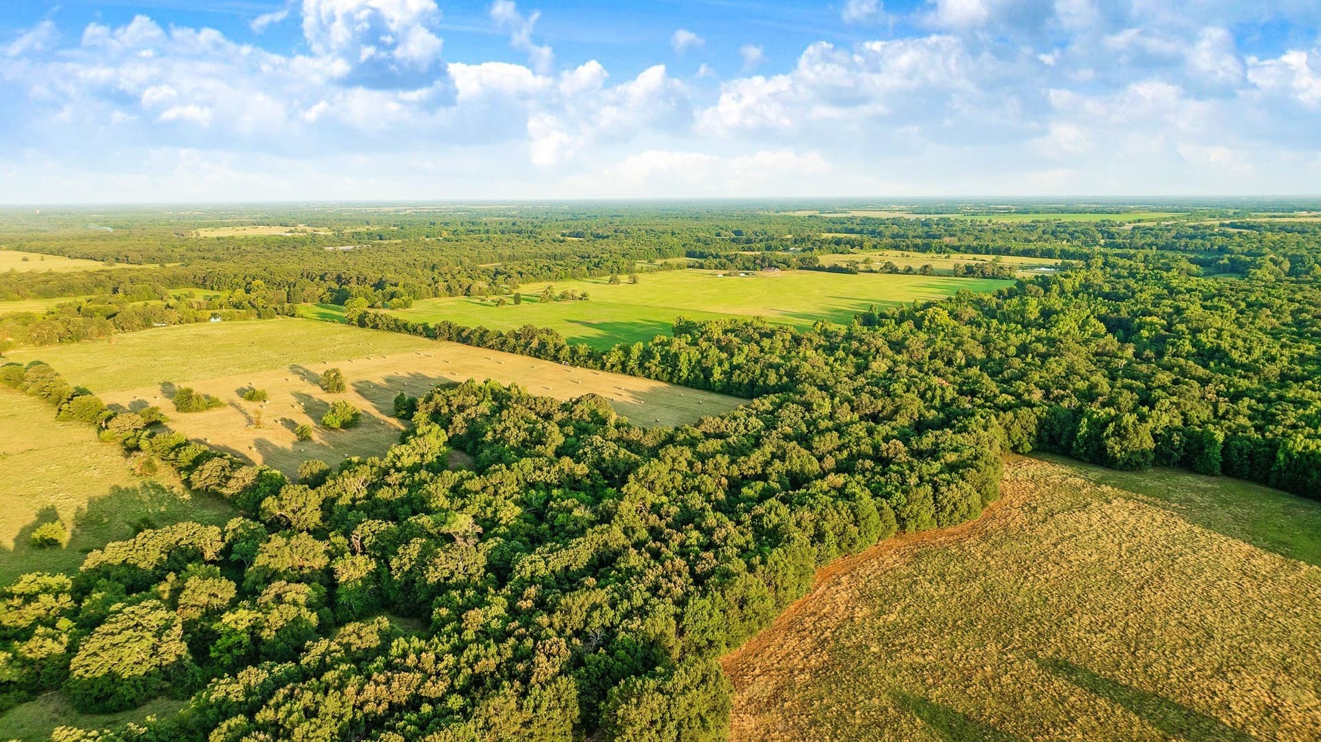 90.2 acres in Red River (TX) County - photo 13