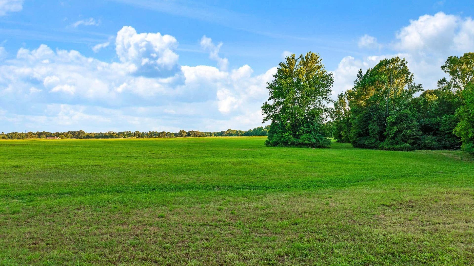90.2 acres in Red River (TX) County - photo 21